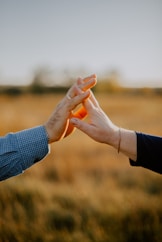 a pair of hands shaking