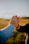 Close-up of hands intertwined, bathed in soft natural sunlight