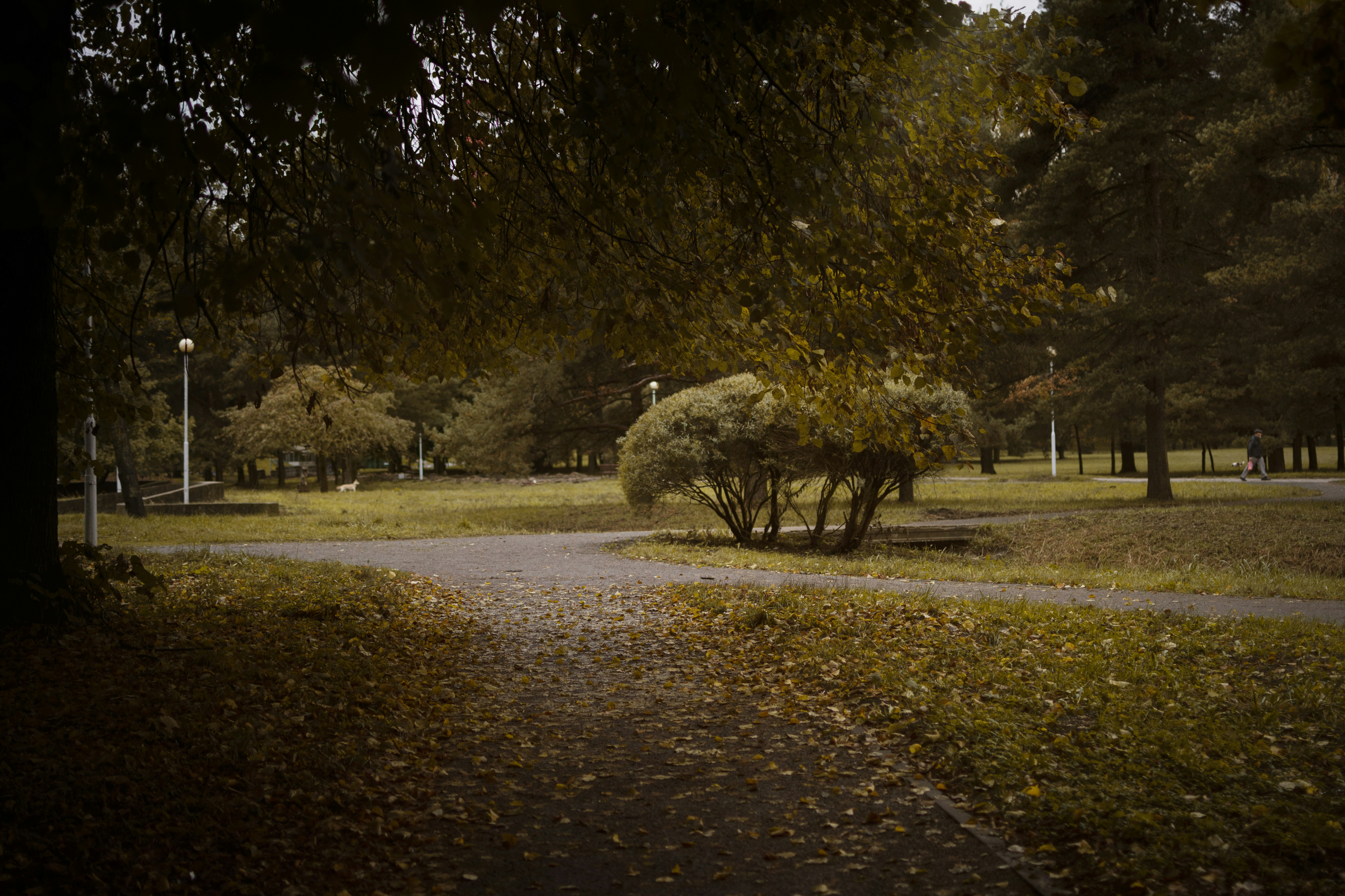 Photo by eadutskevich