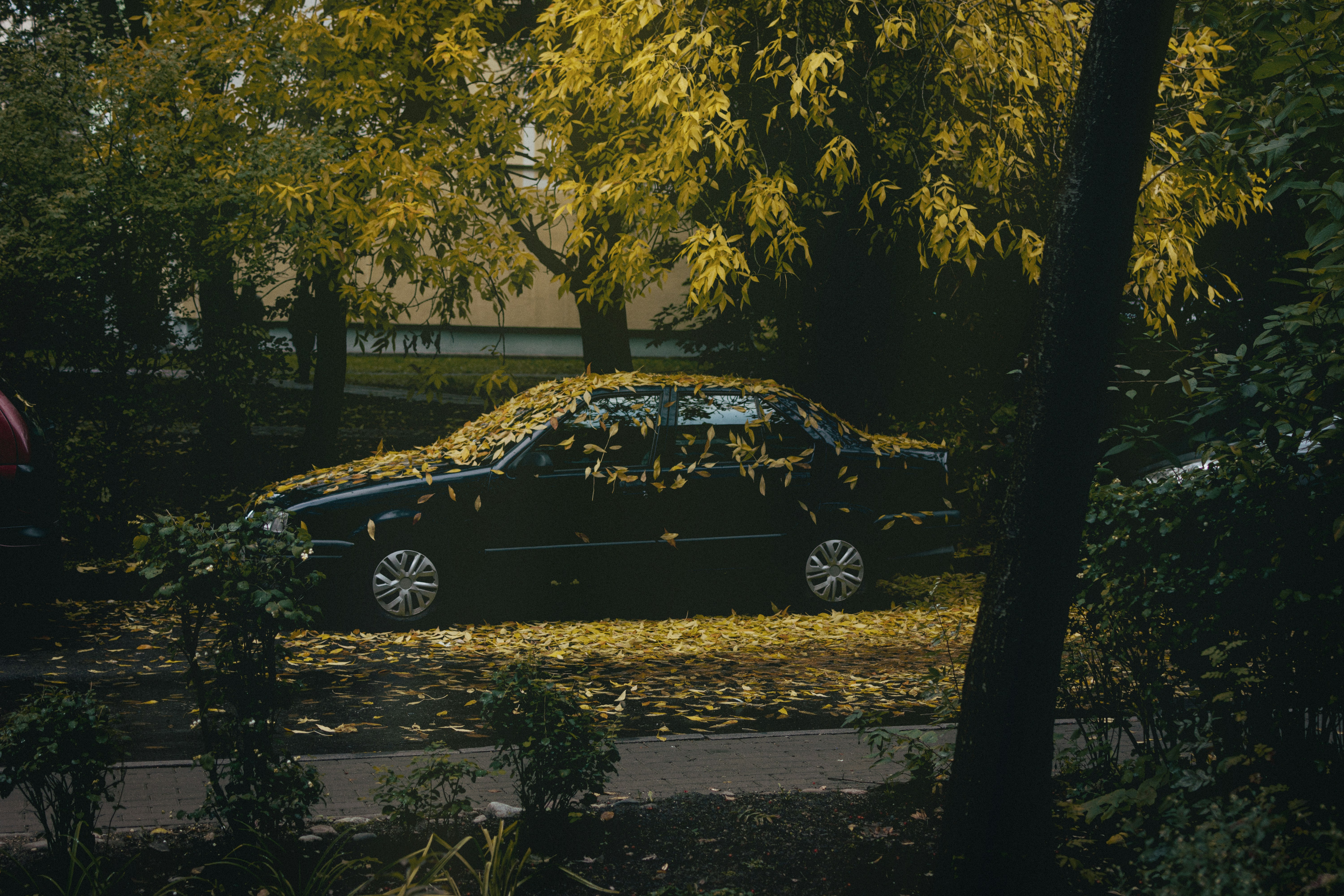 a car parked in a driveway