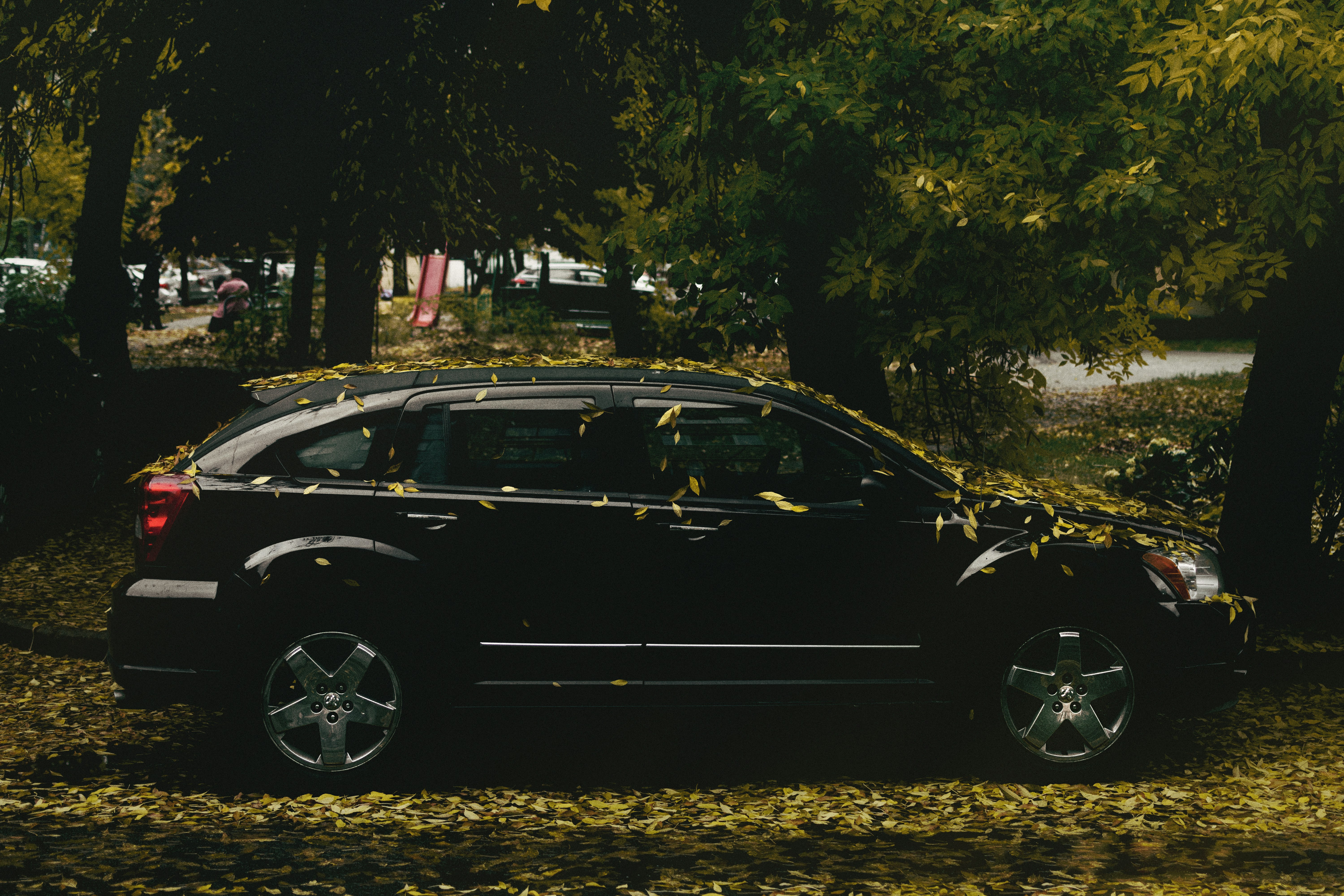 a black car parked in a park