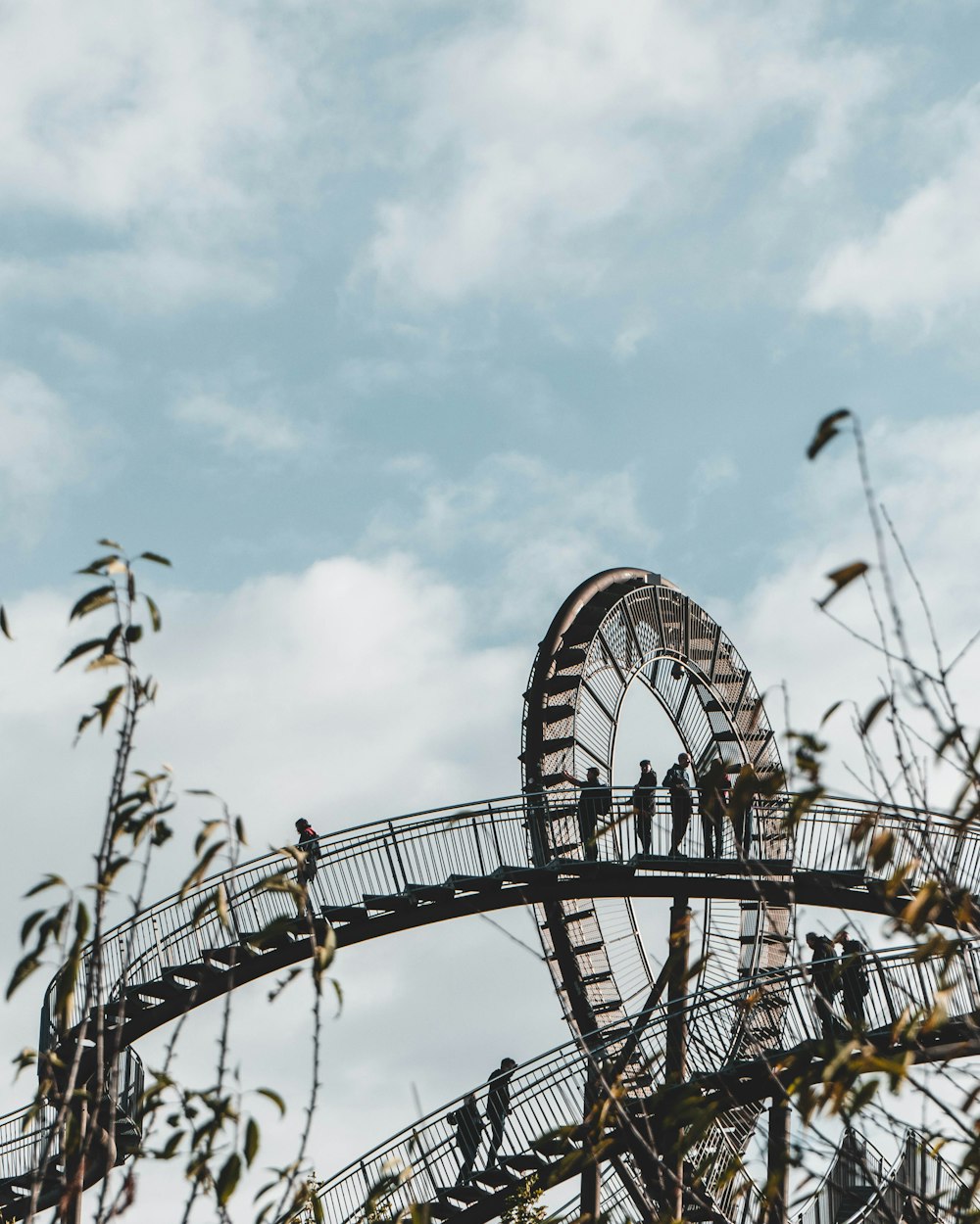 a roller coaster with birds flying