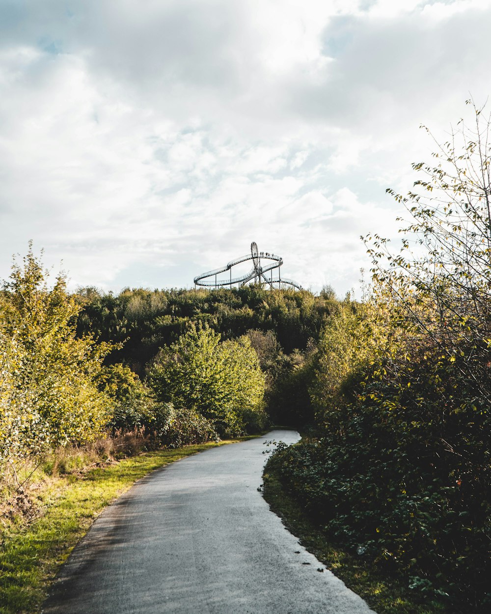 a road with trees on the side