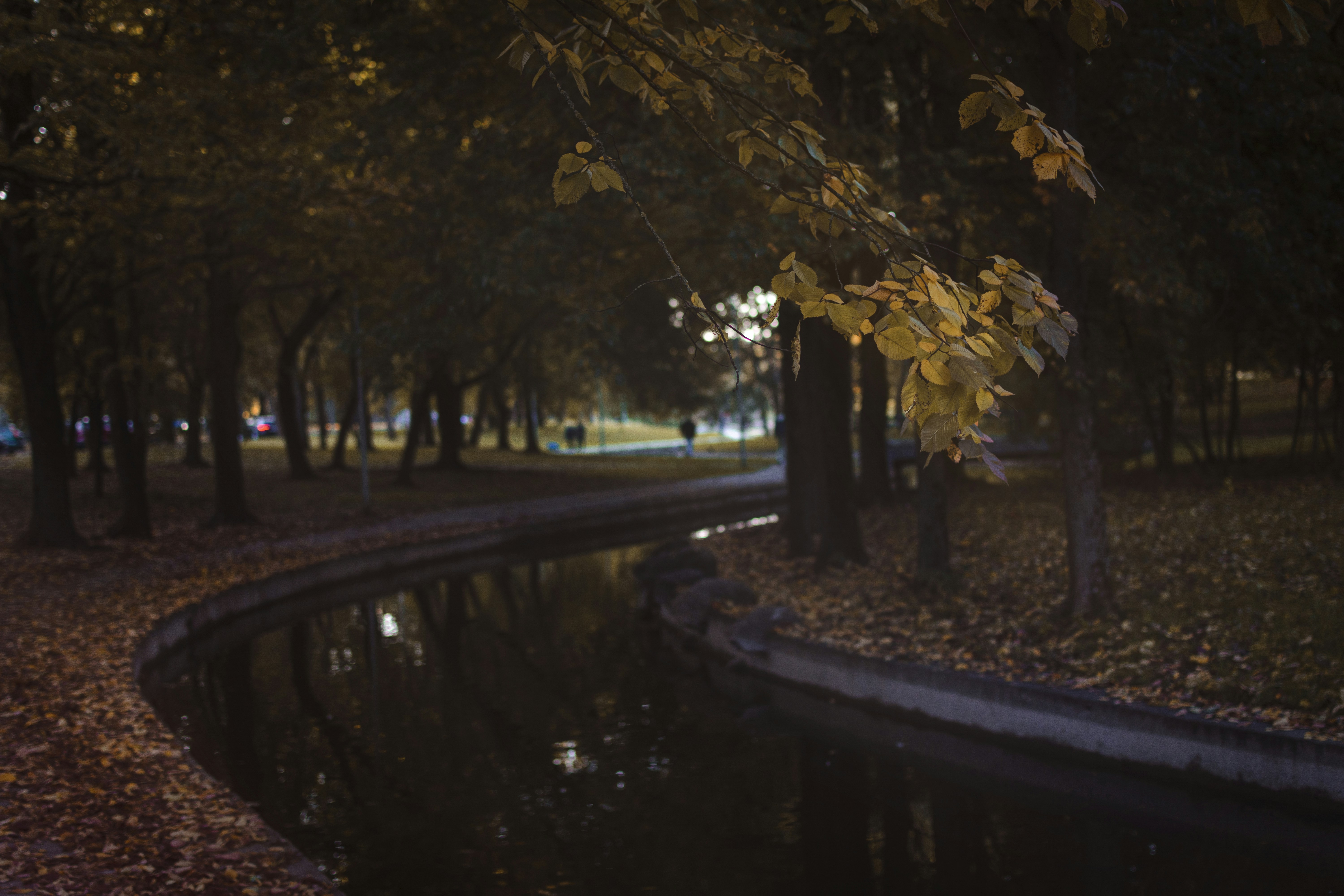 Photo by eadutskevich