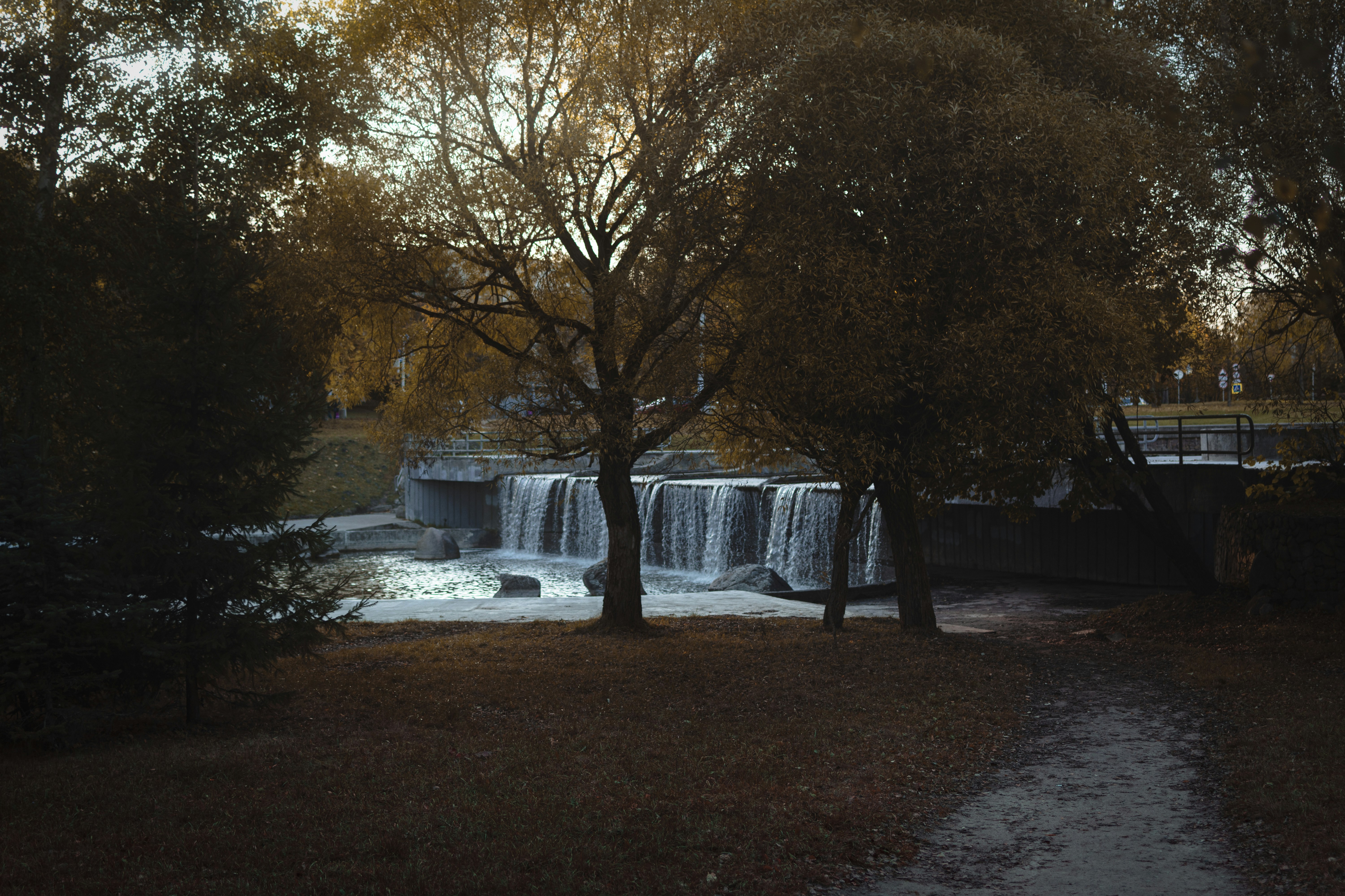 Mechanic Falls Recreation Area