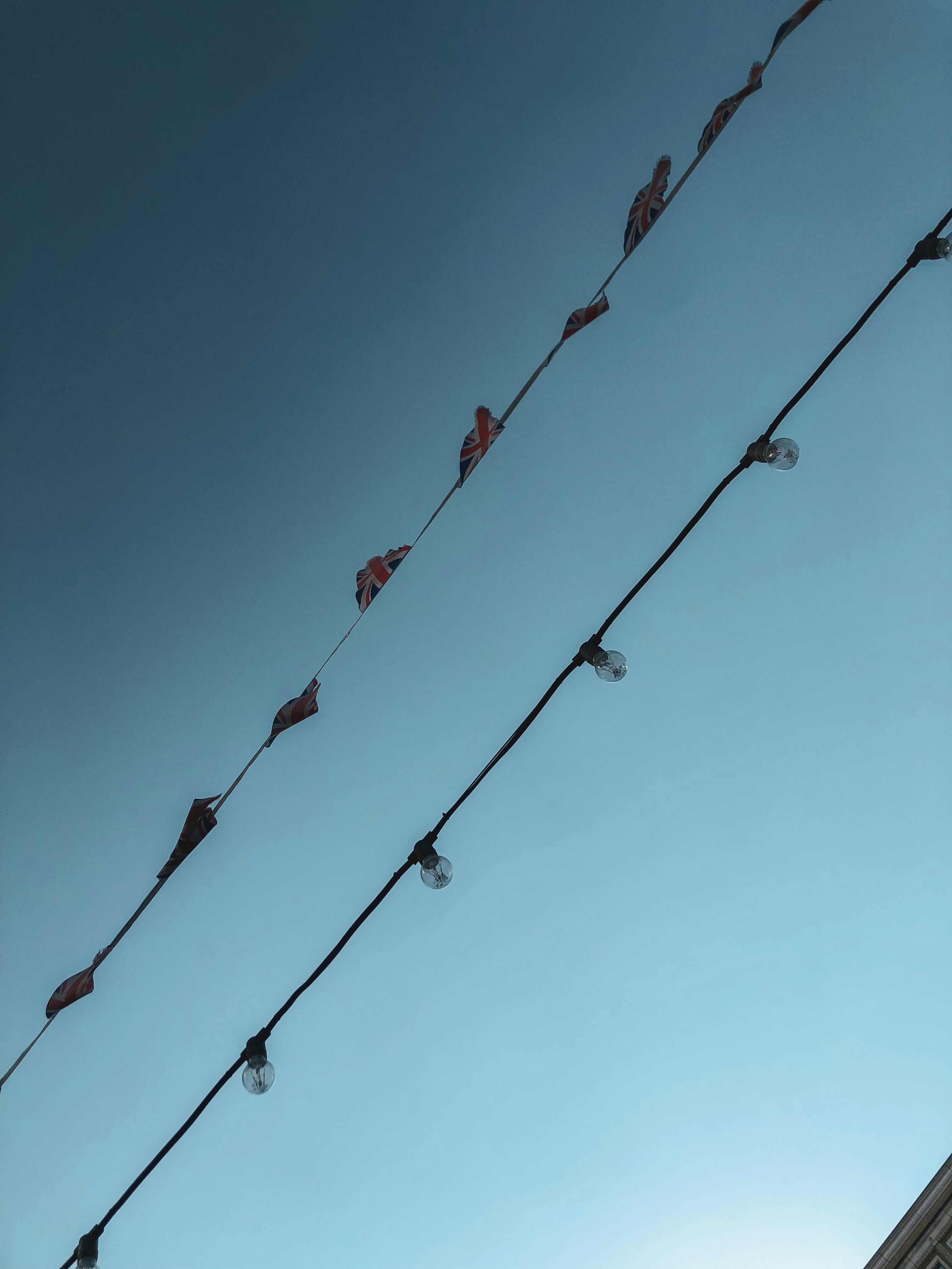 Photo by thetypicalshutterbug