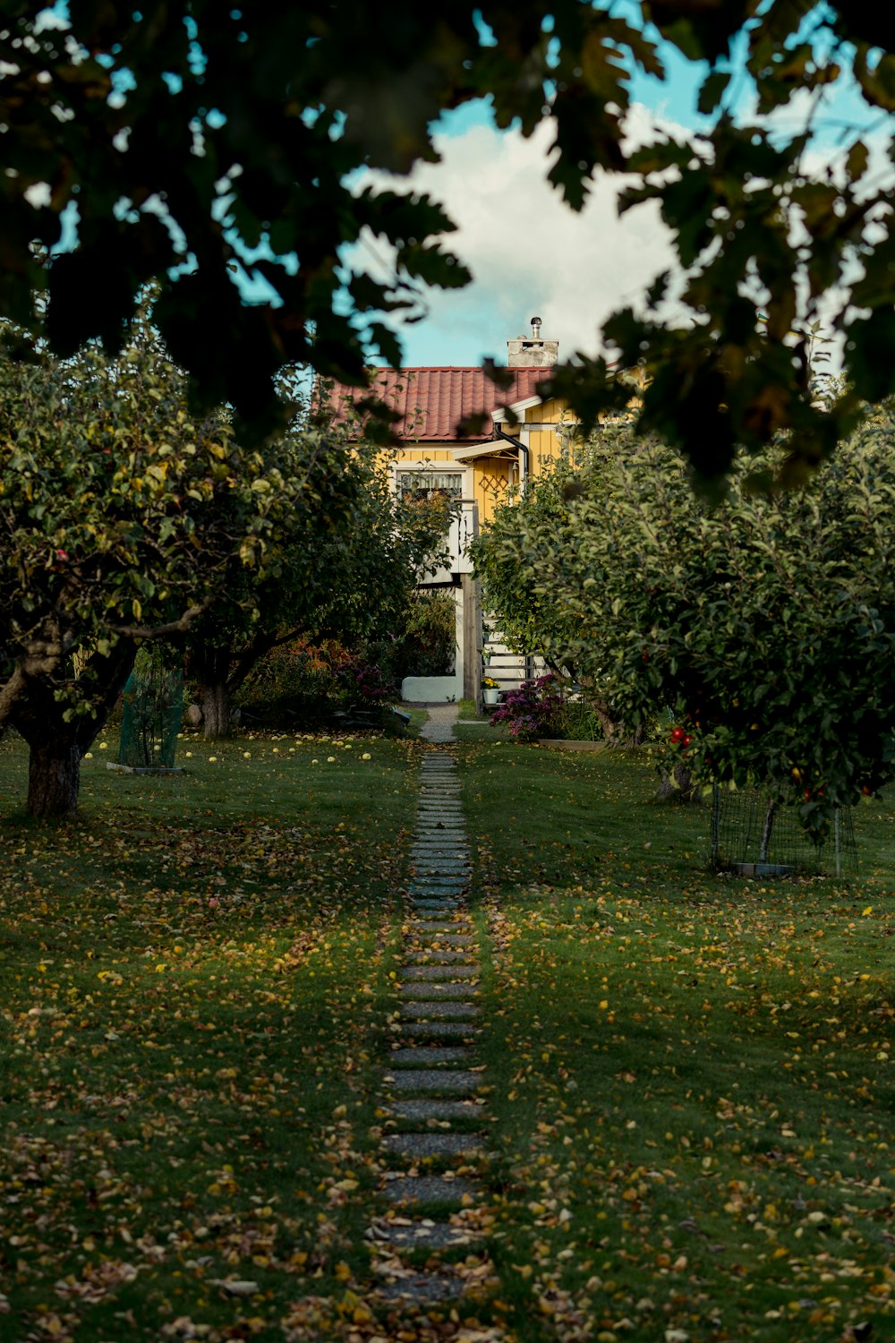 a path through a park