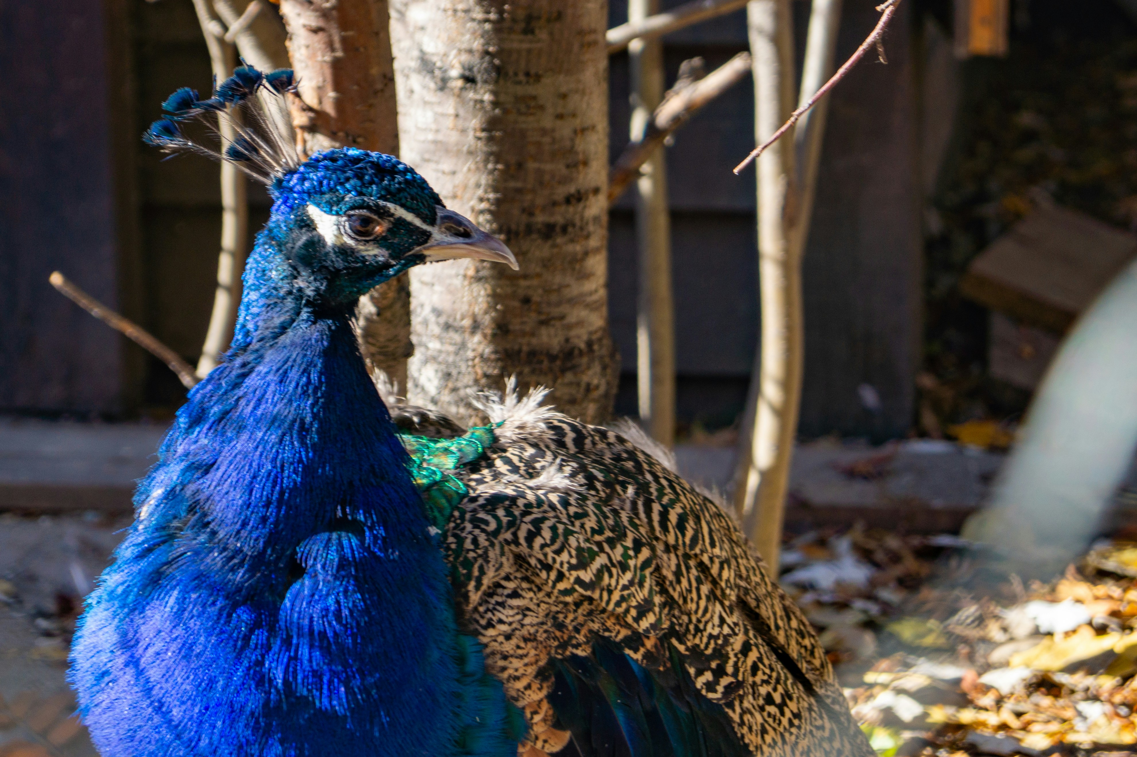 Photo by vintersphoto