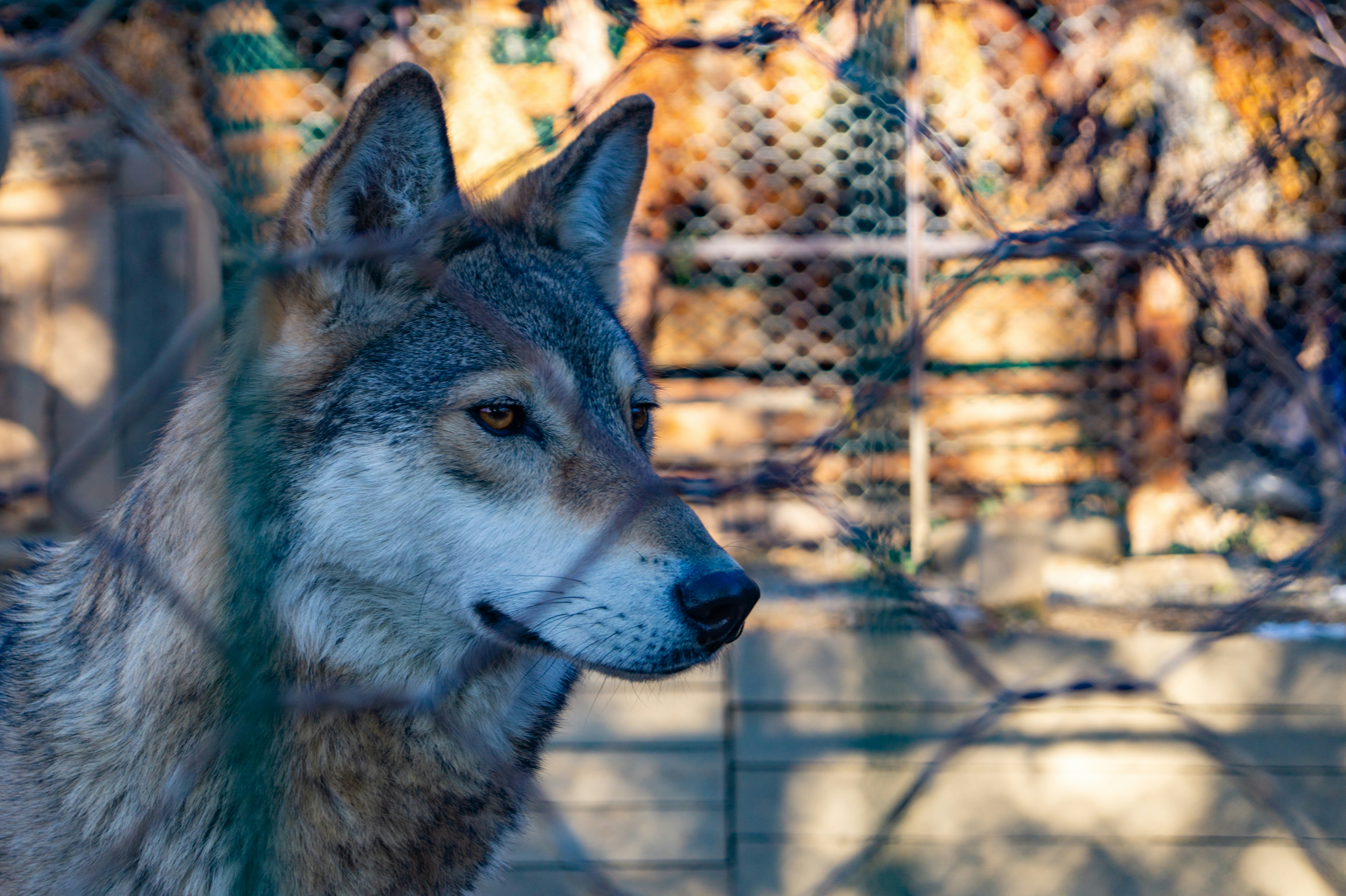 Photo by vintersphoto