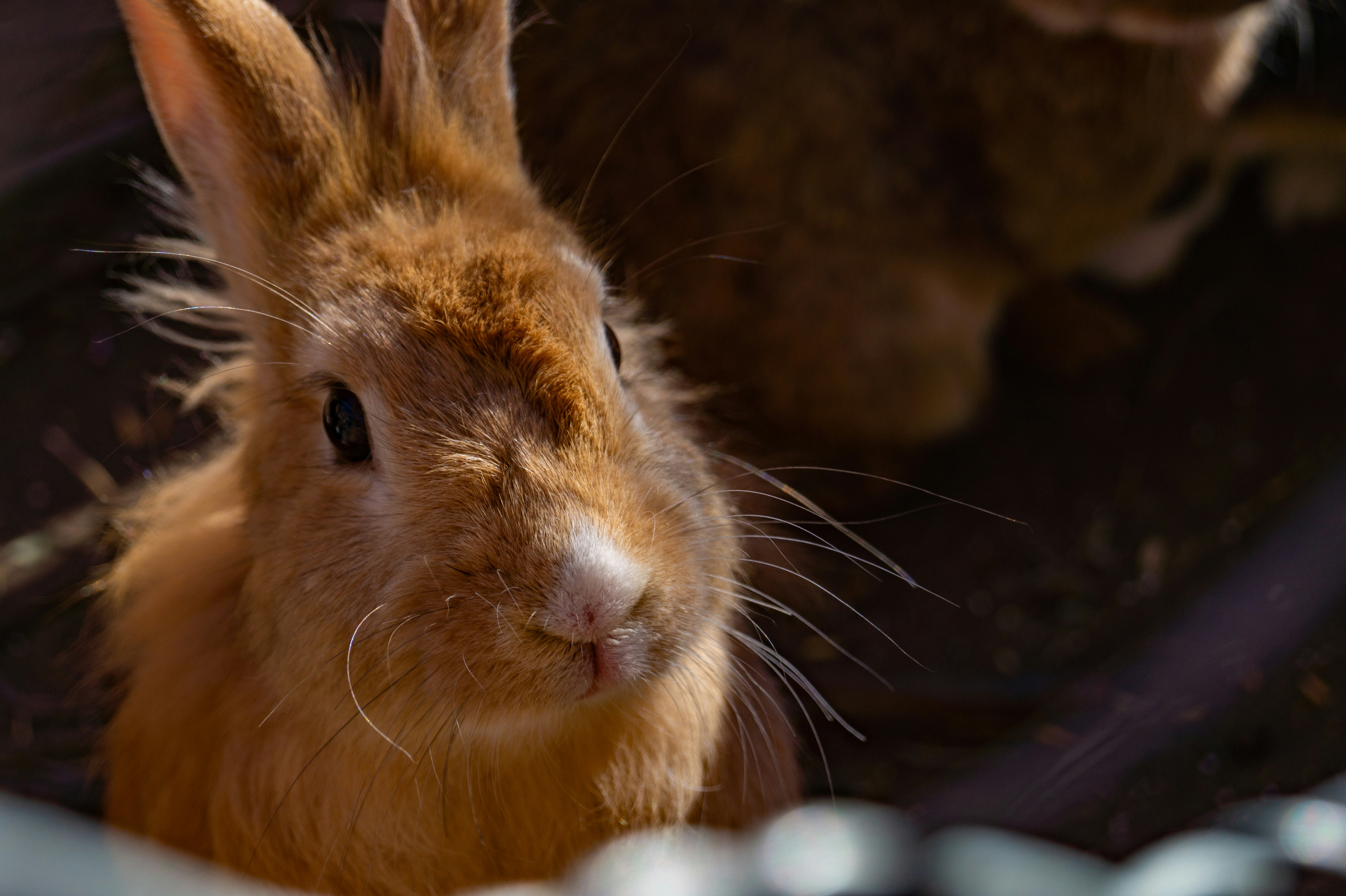 Photo by vintersphoto