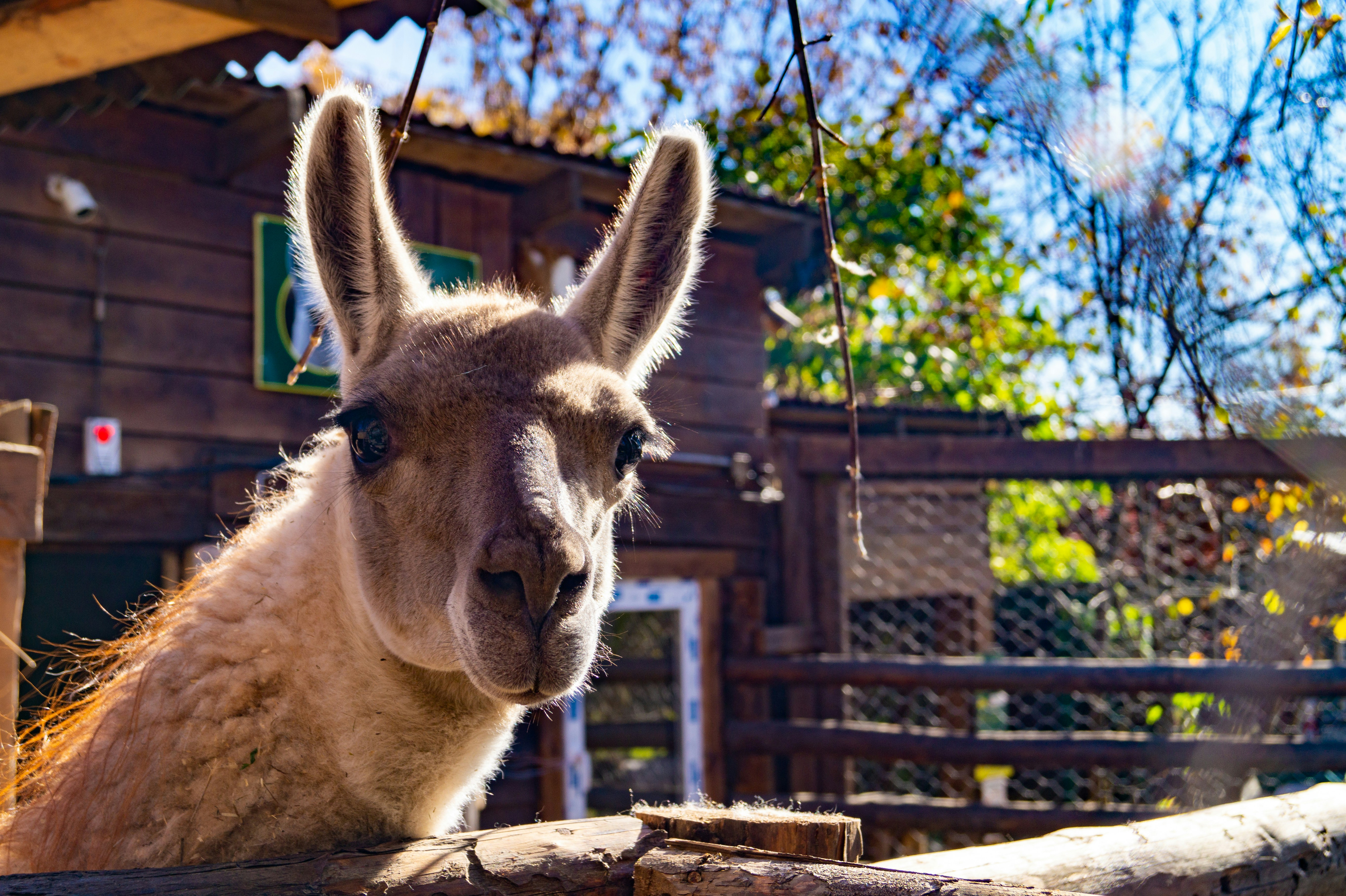 Photo by vintersphoto