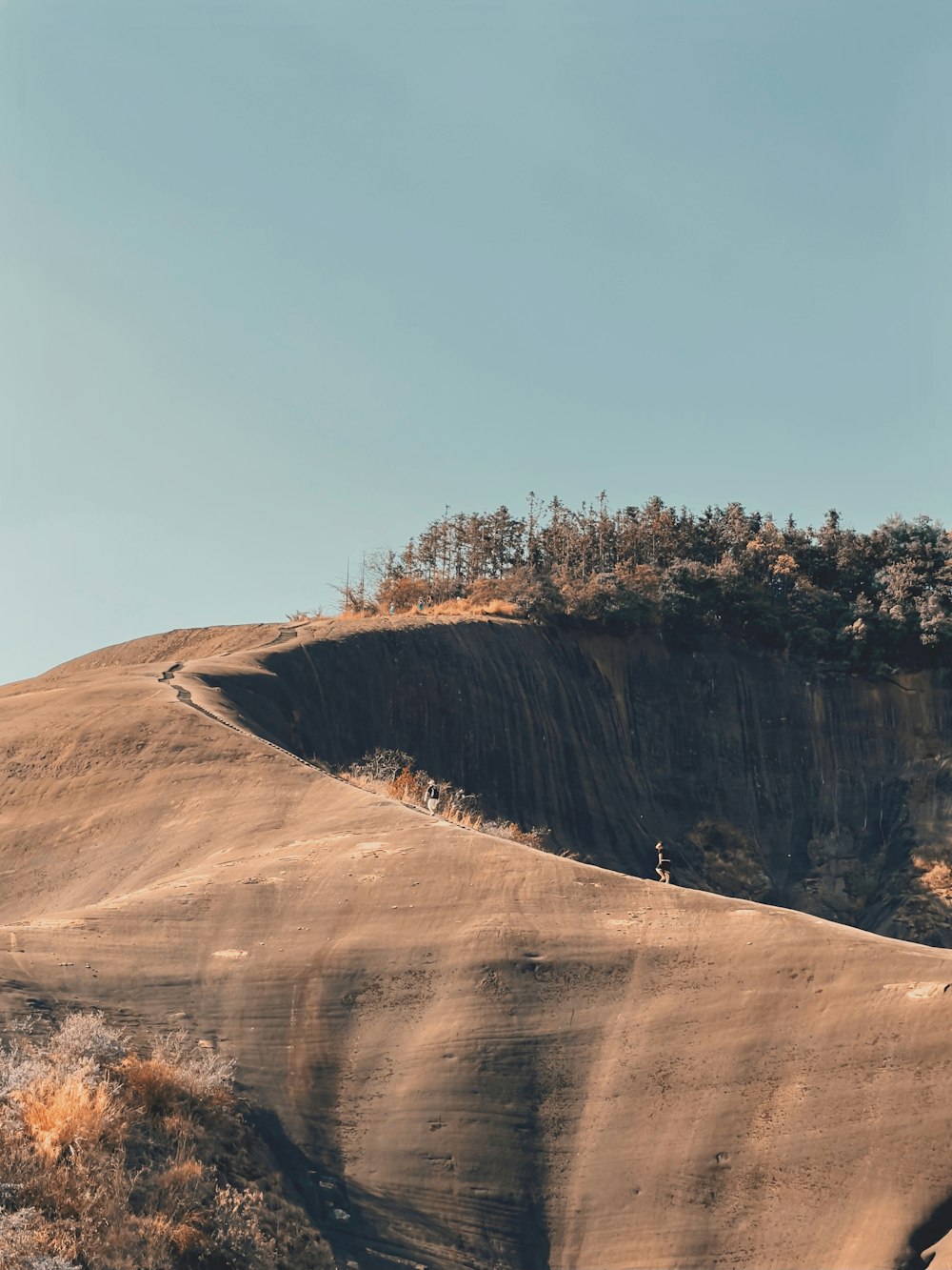 a person walking on a dirt path