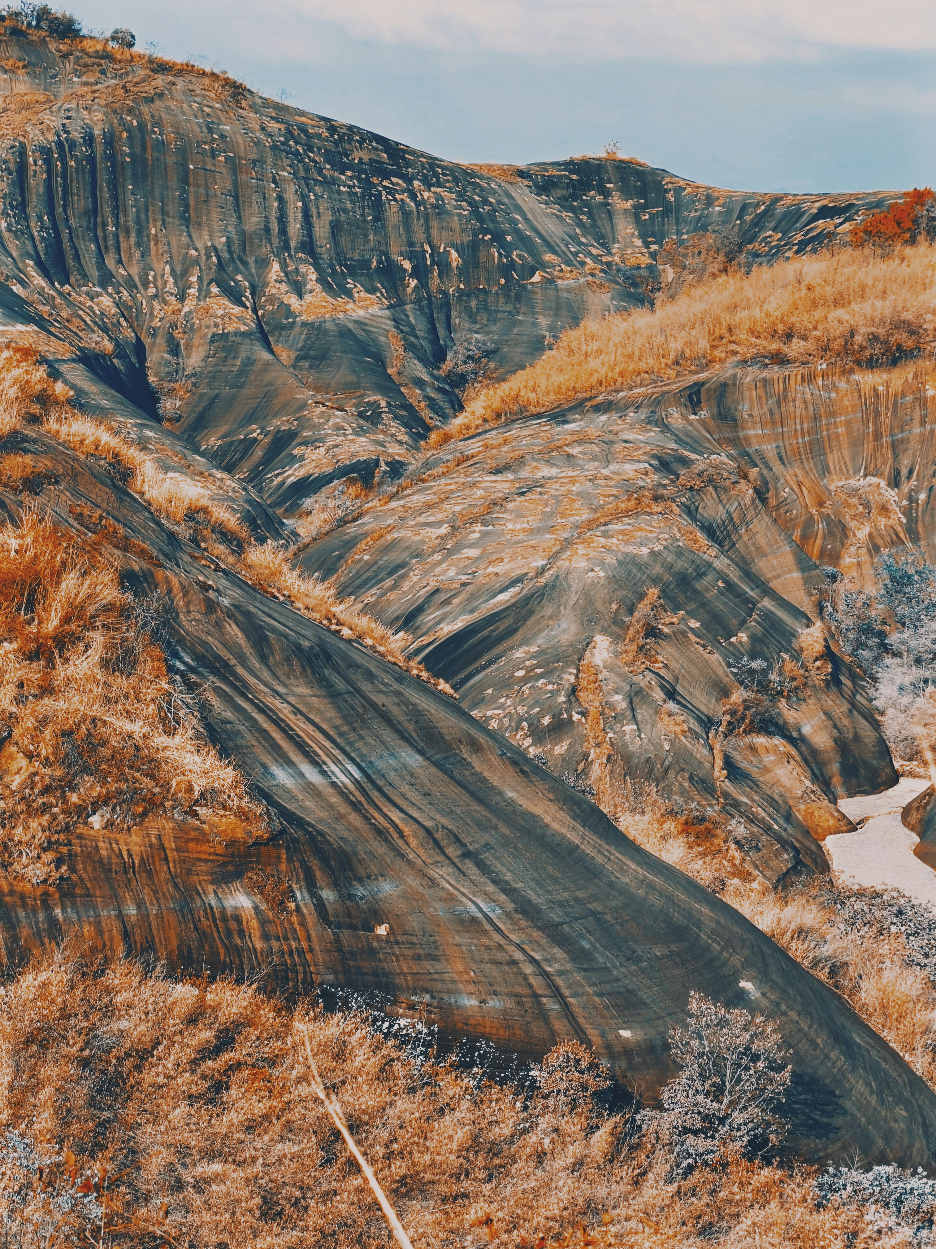 a rocky canyon with trees