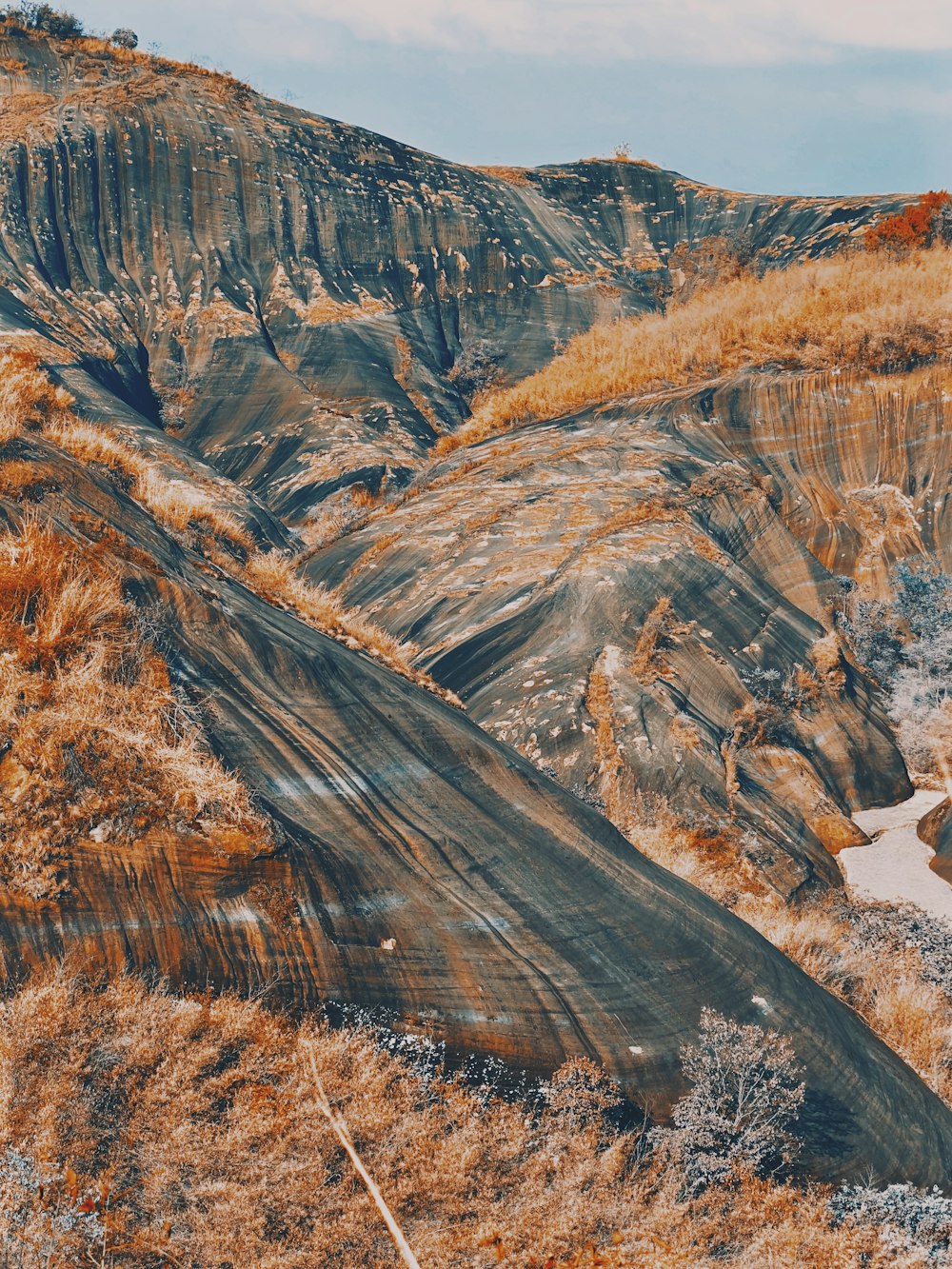 a rocky canyon with trees