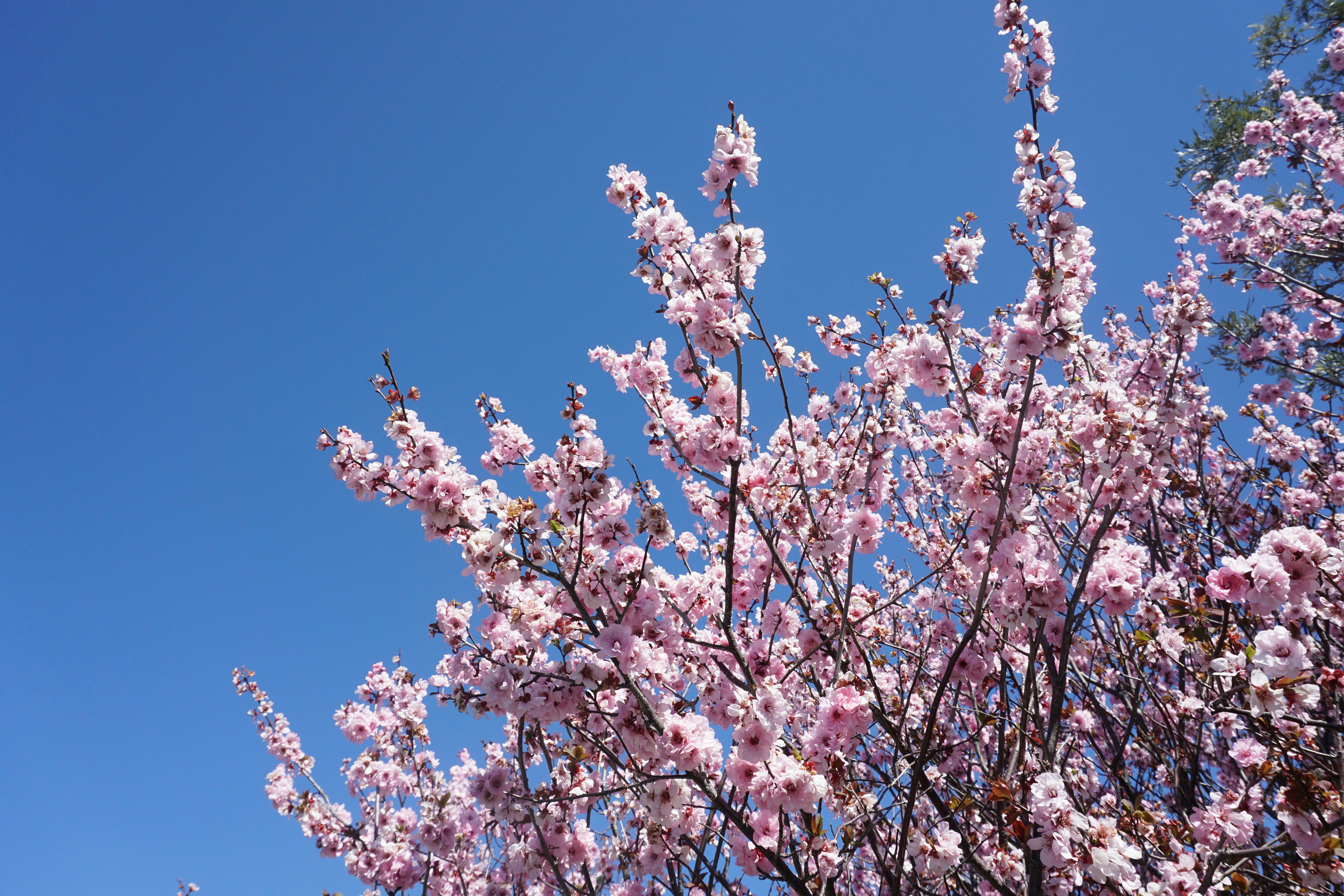 Photo by rennielachlan