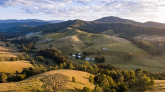 a landscape with trees and hills