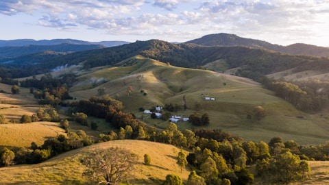 a landscape with trees and hills