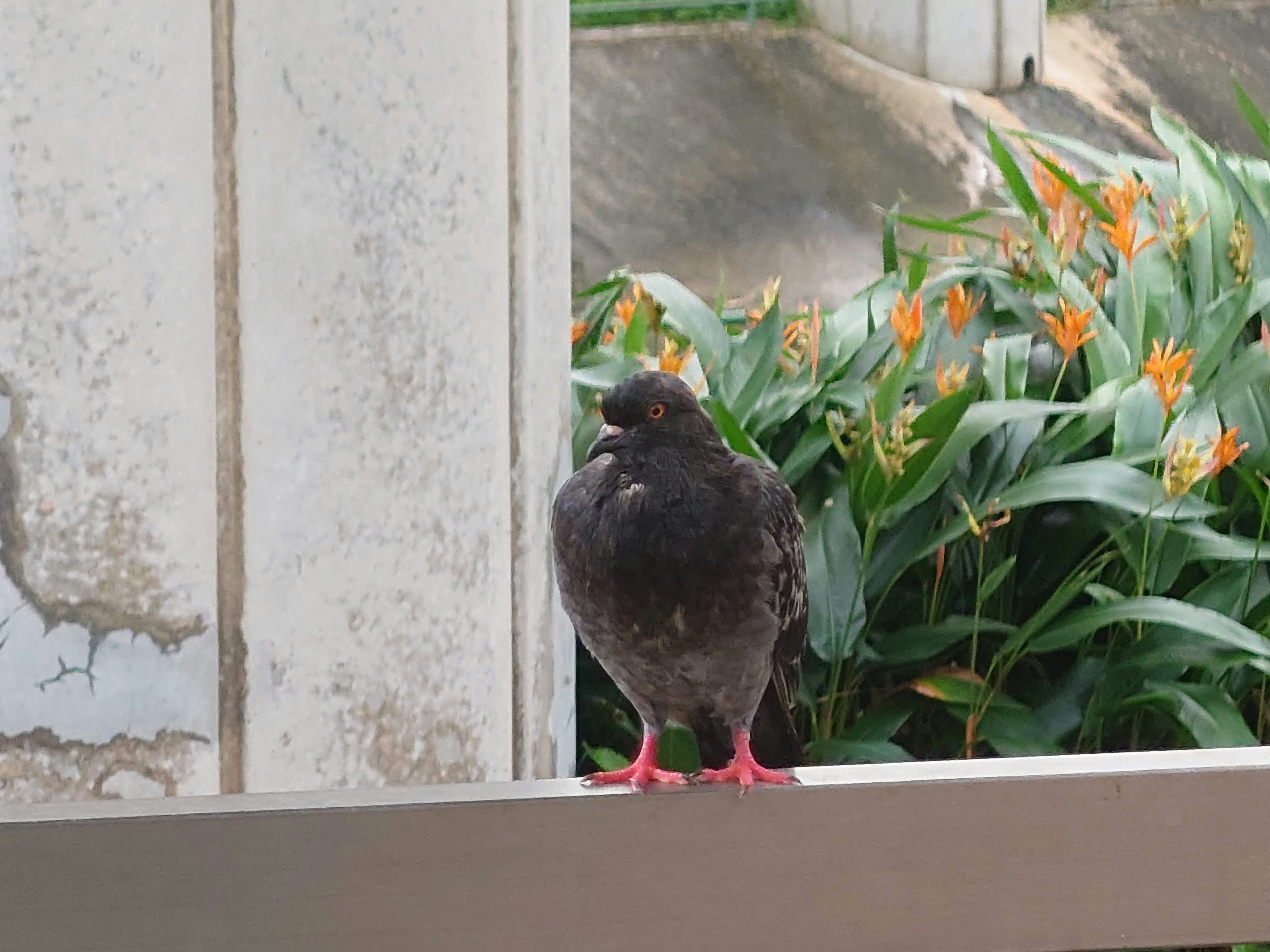 Photo by leezhengyuan