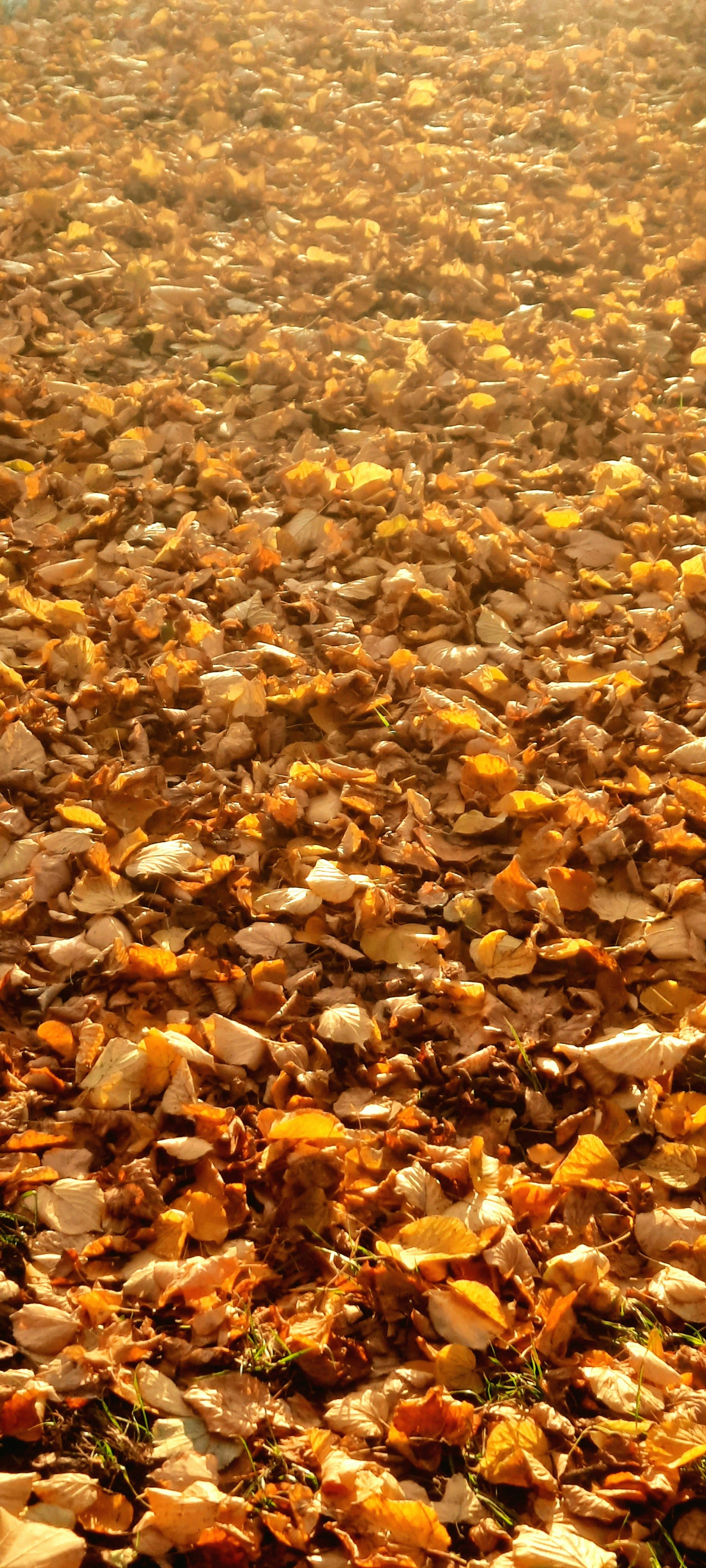 Photo by strandenarium