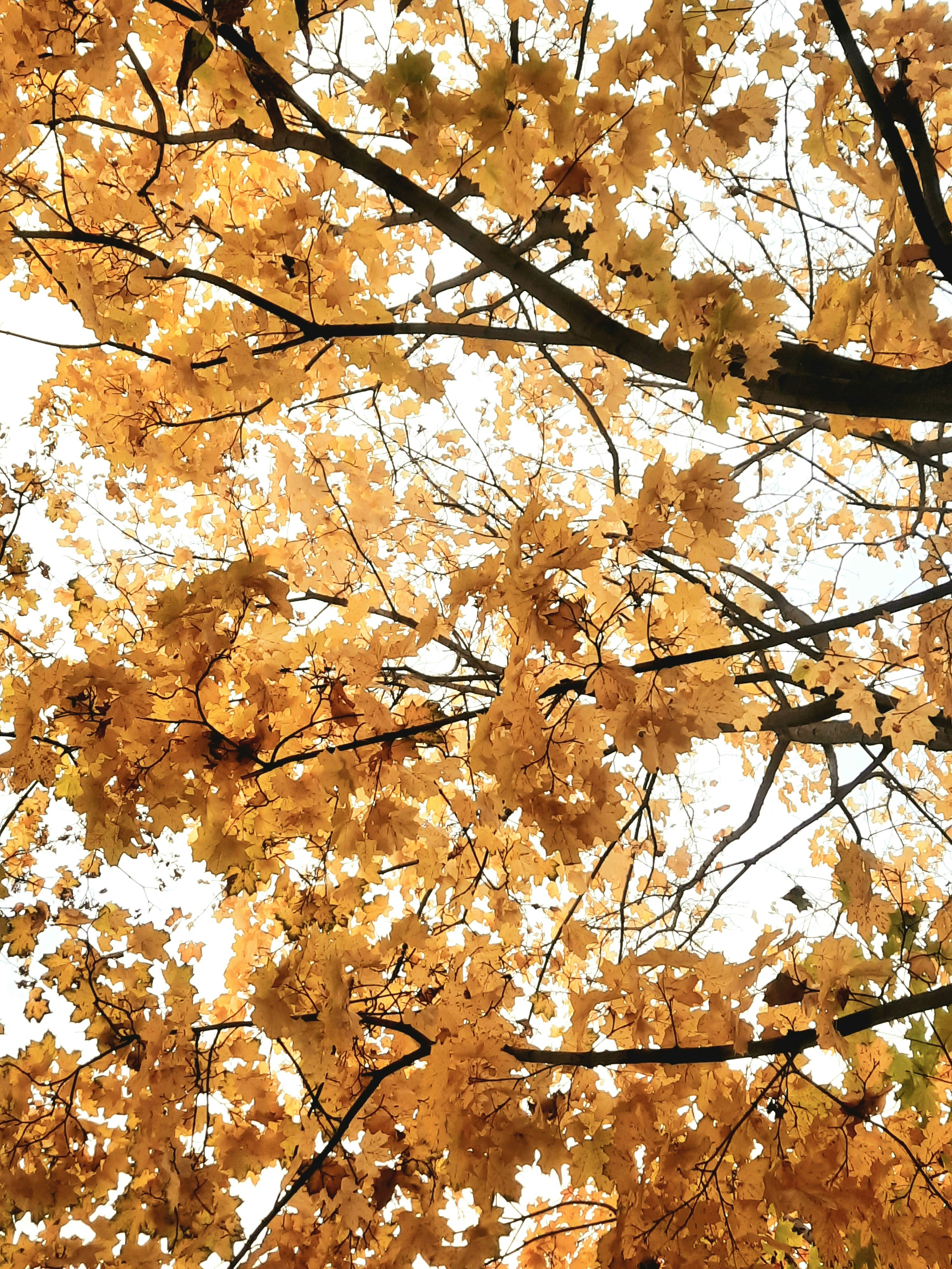 Photo by strandenarium