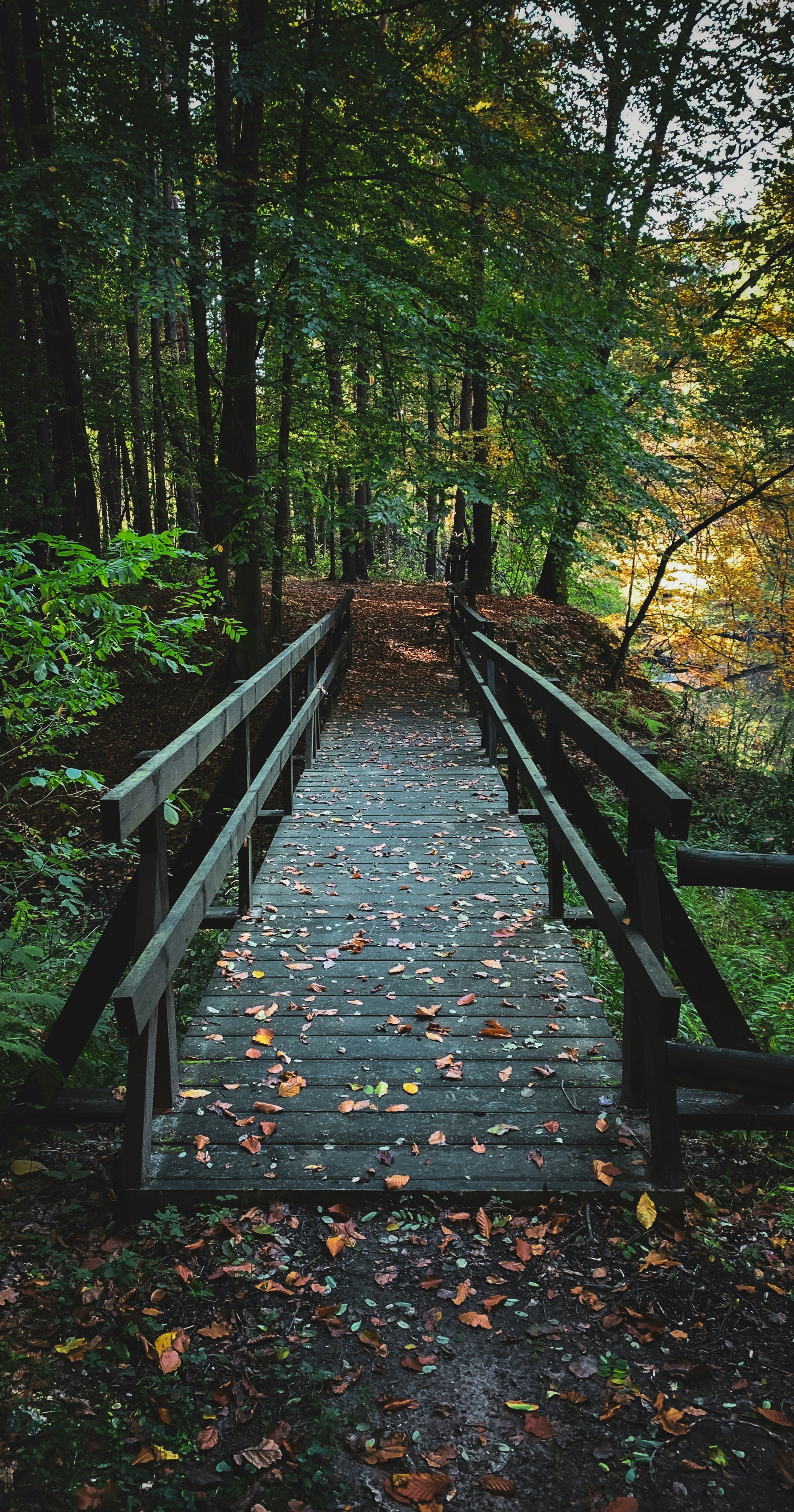 a bench in a park