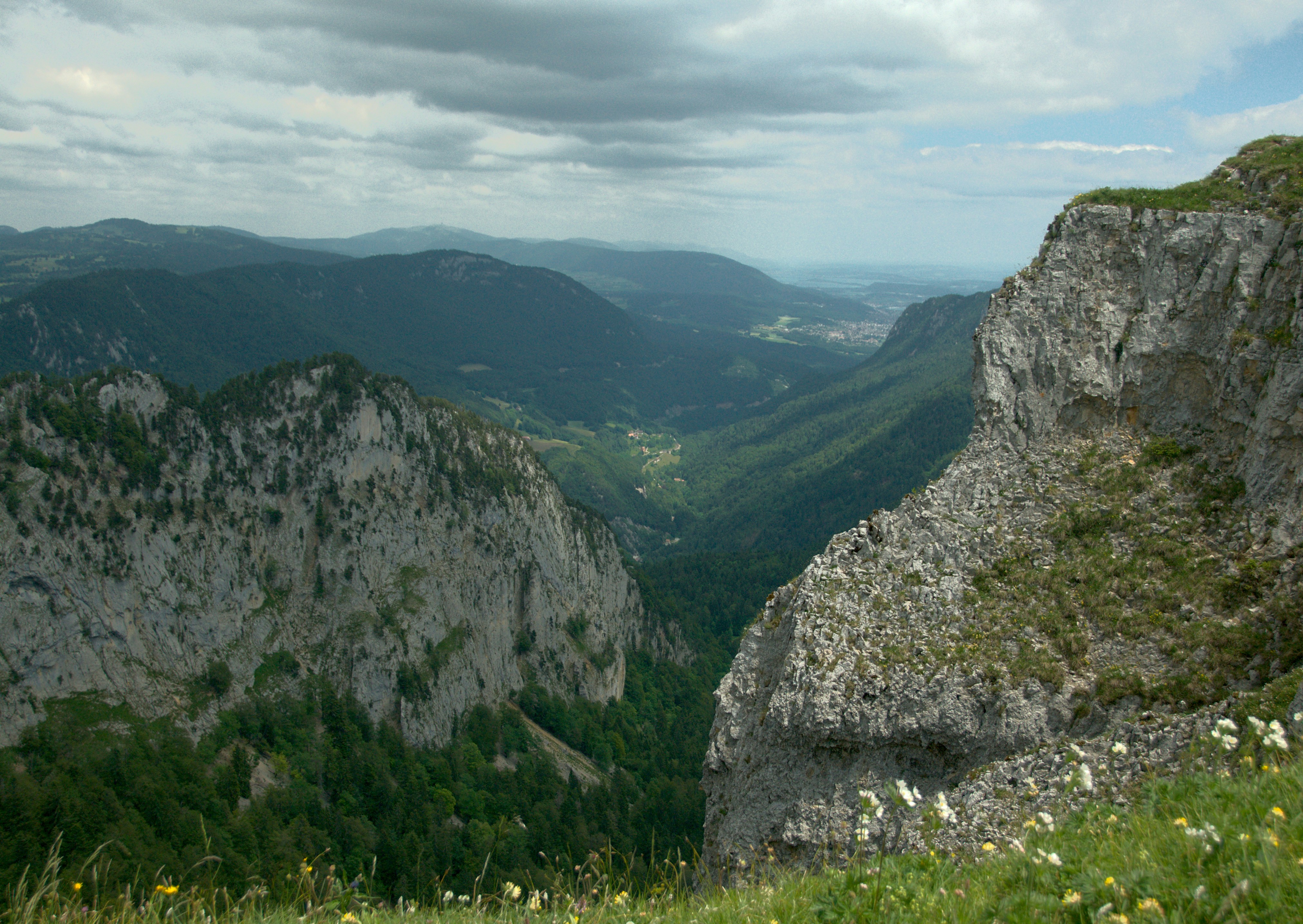 a rocky mountain with grass and trees, 