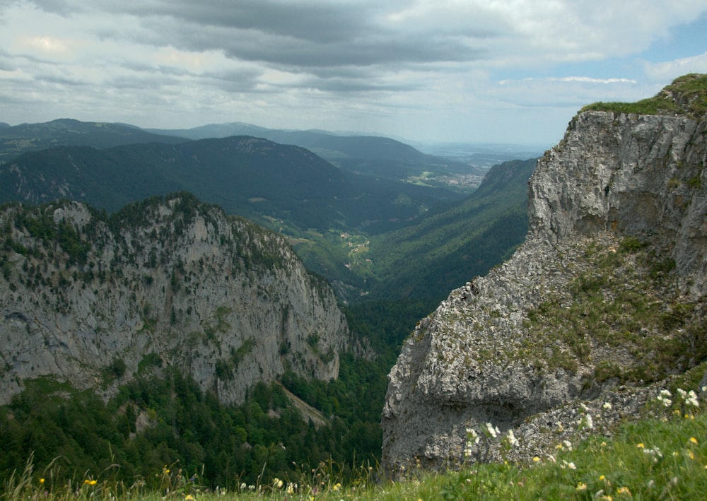 a rocky mountain with grass and trees