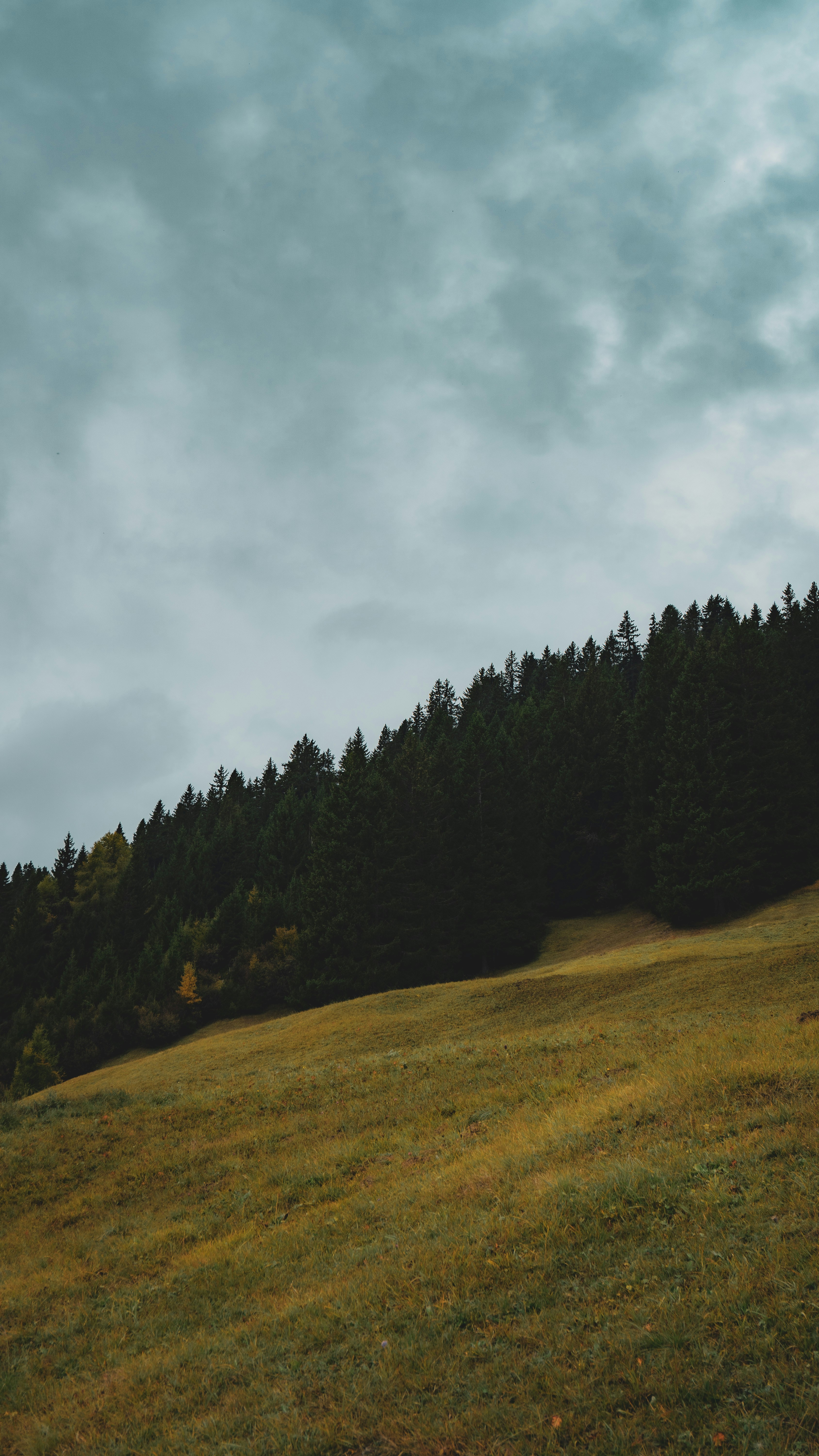 Photo by watchelijah