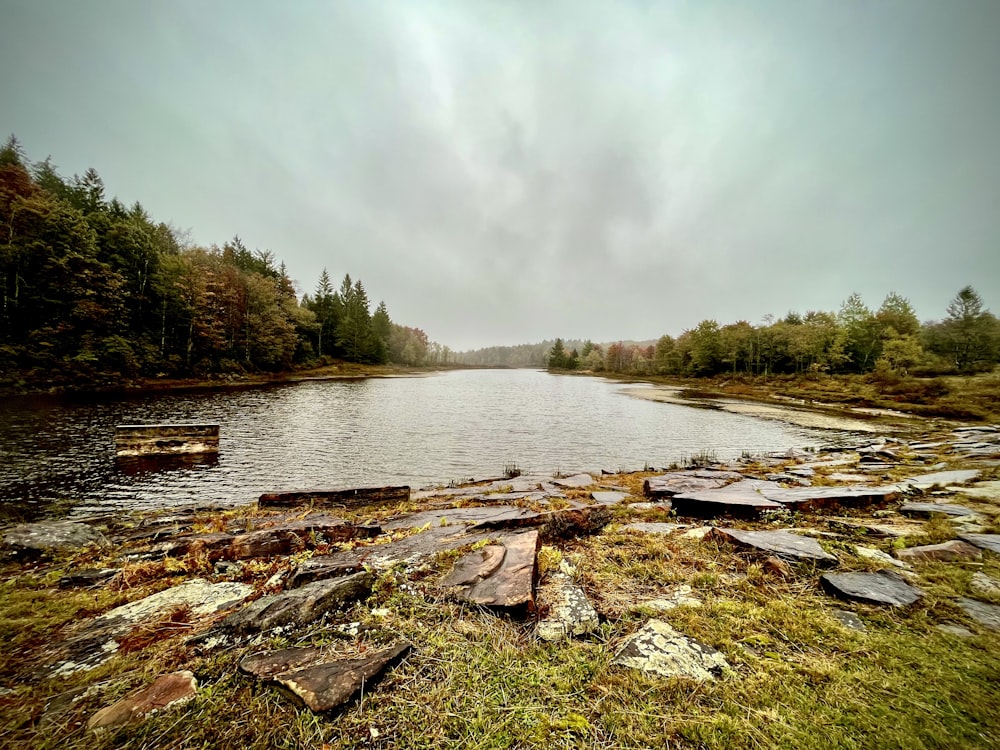 a river with rocks and grass