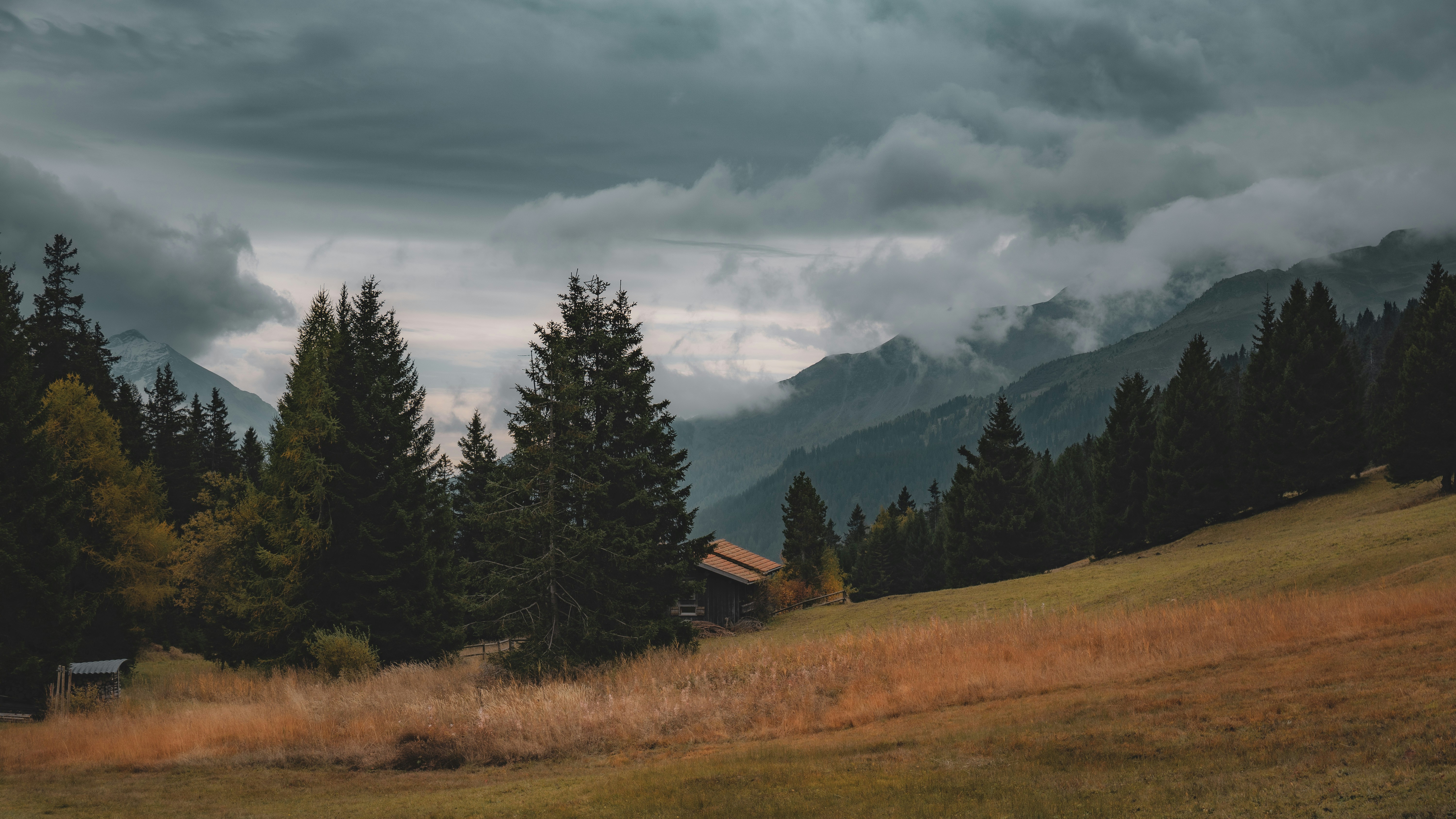 Photo by watchelijah