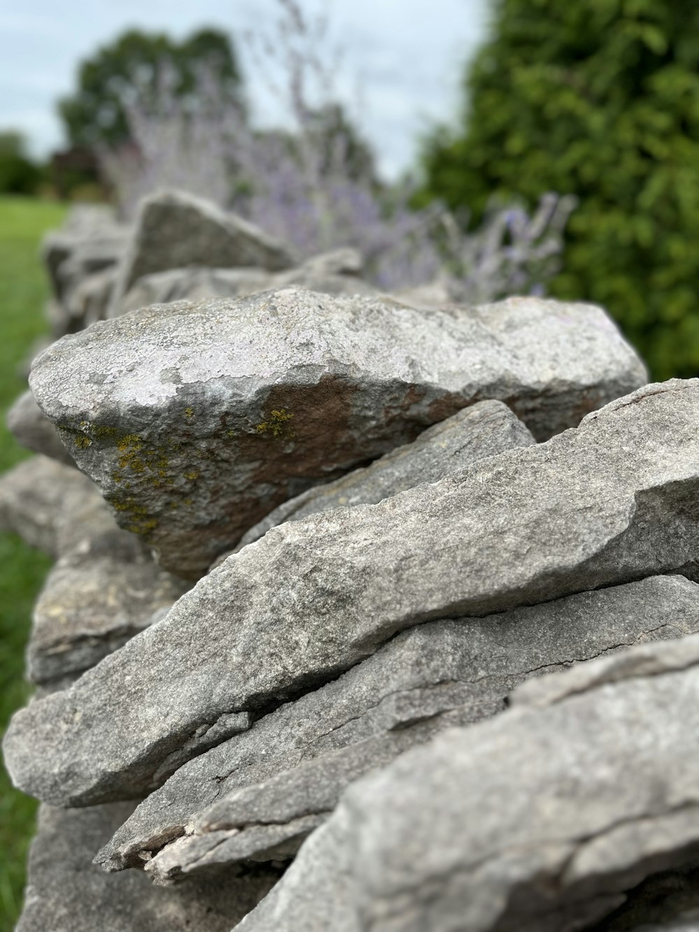 a close-up of some rocks