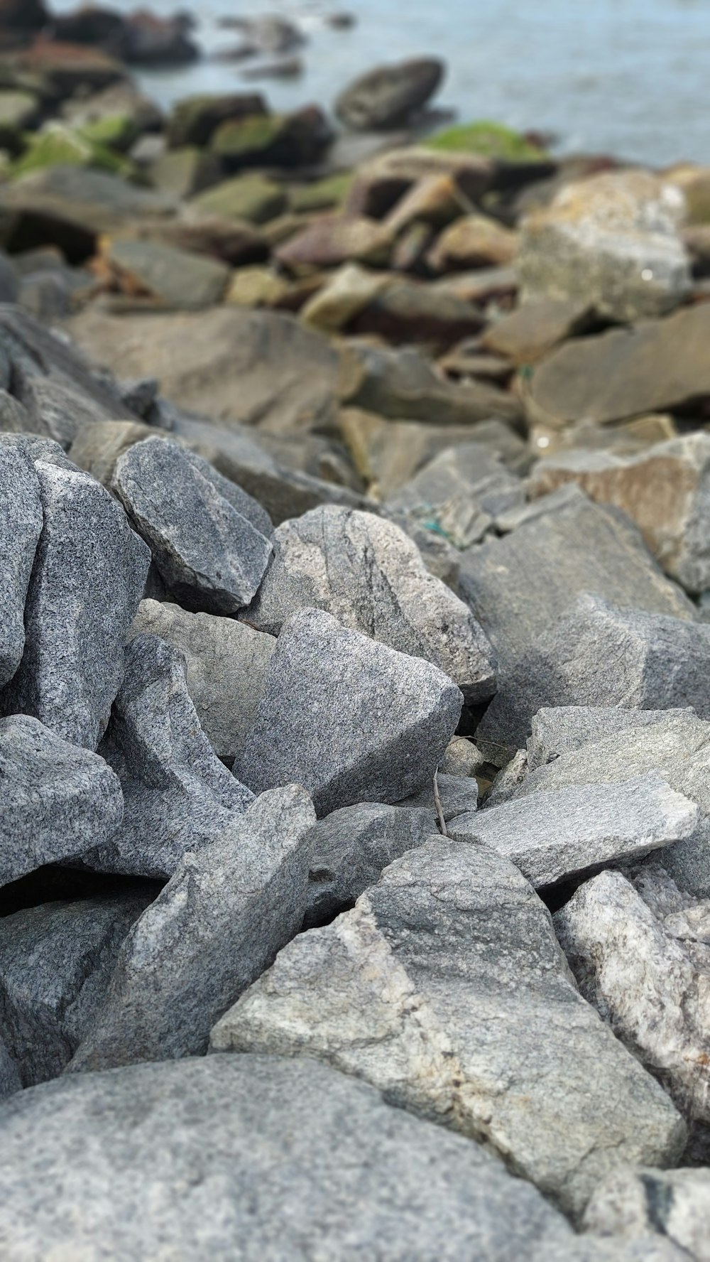 a group of rocks by the water