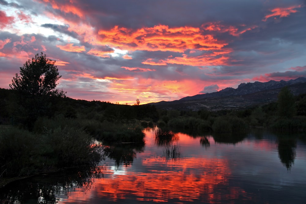 a body of water with trees and mountains in the background