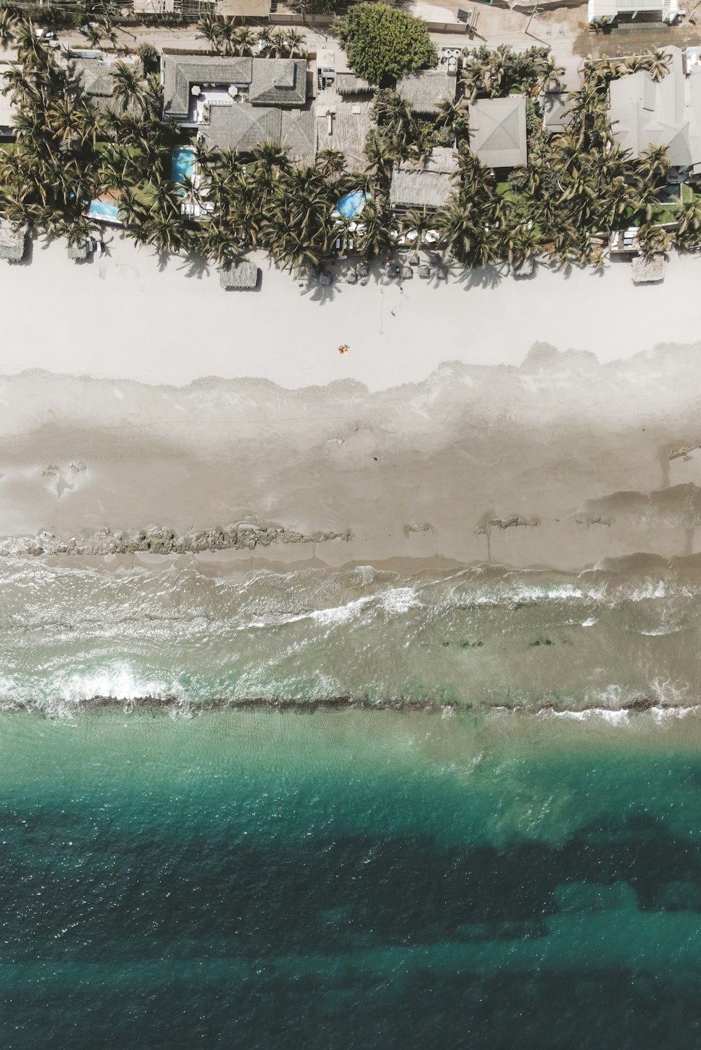 a beach with buildings and trees