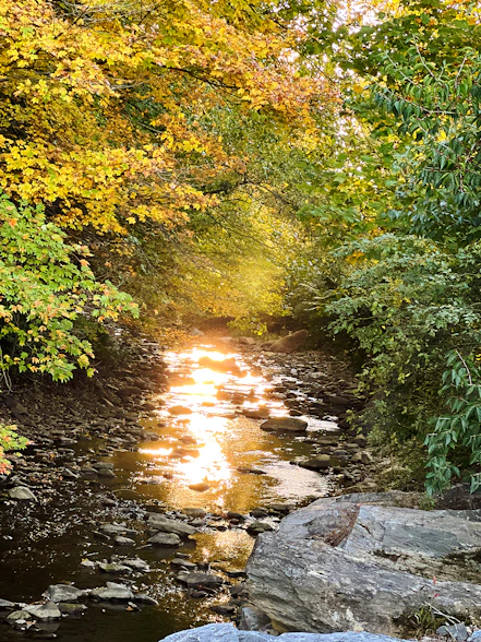 a stream with rocks and trees around it