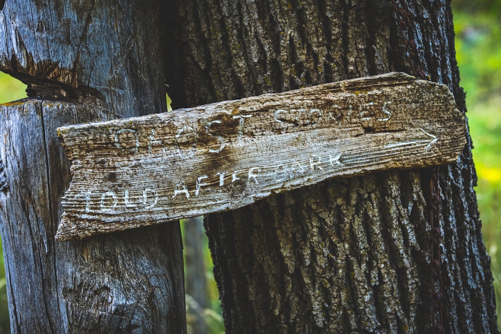 a tree trunk with a sign on it