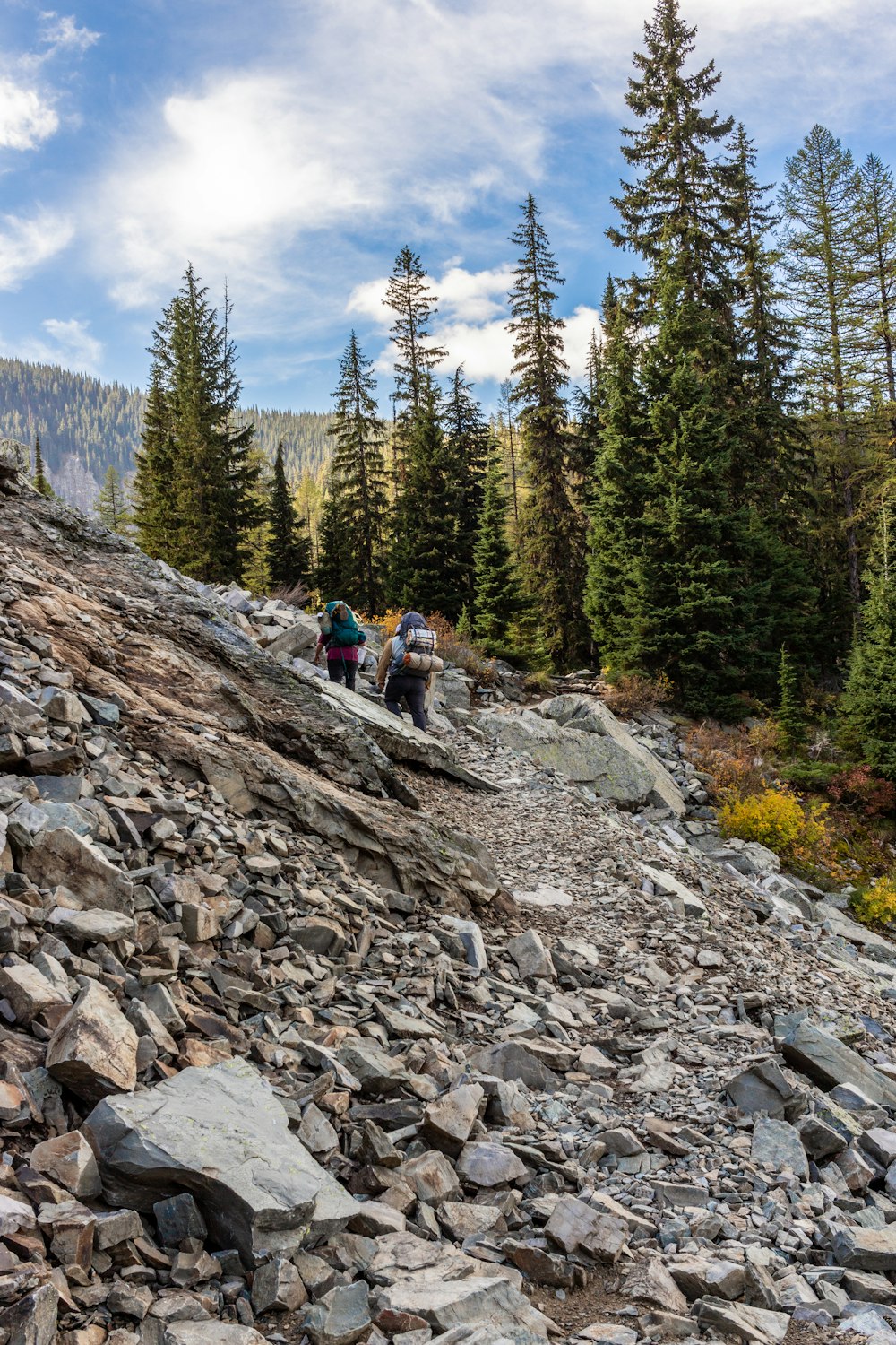 a group of people hiking