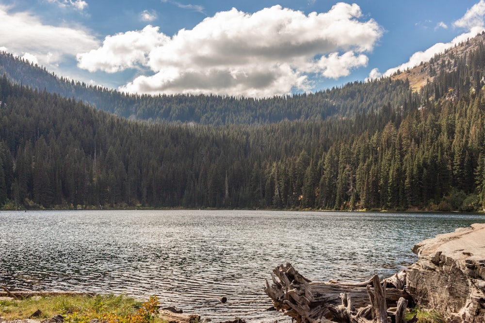 a lake with trees and mountains in the background