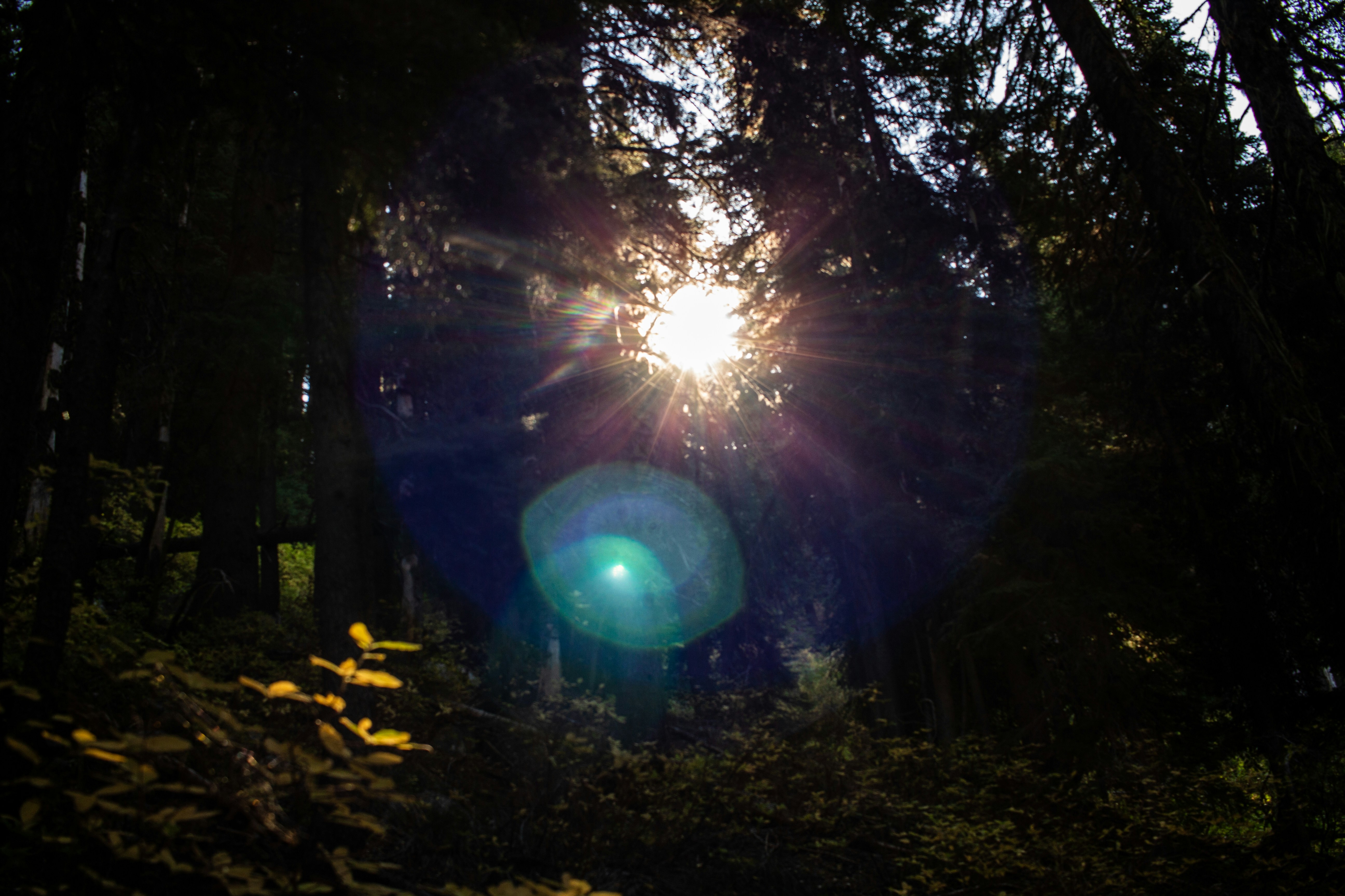 Part 1 - A mini complete guide to the awesomest exercise on Earth: Why I'm obsessed