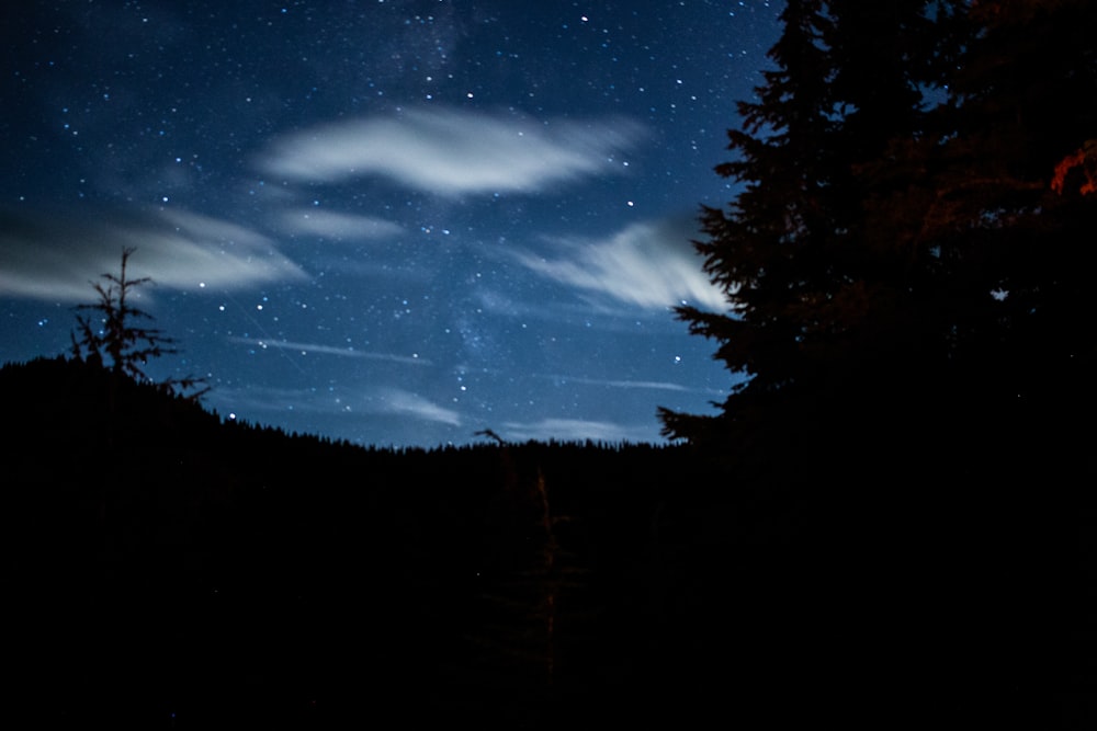 a night sky with clouds and trees