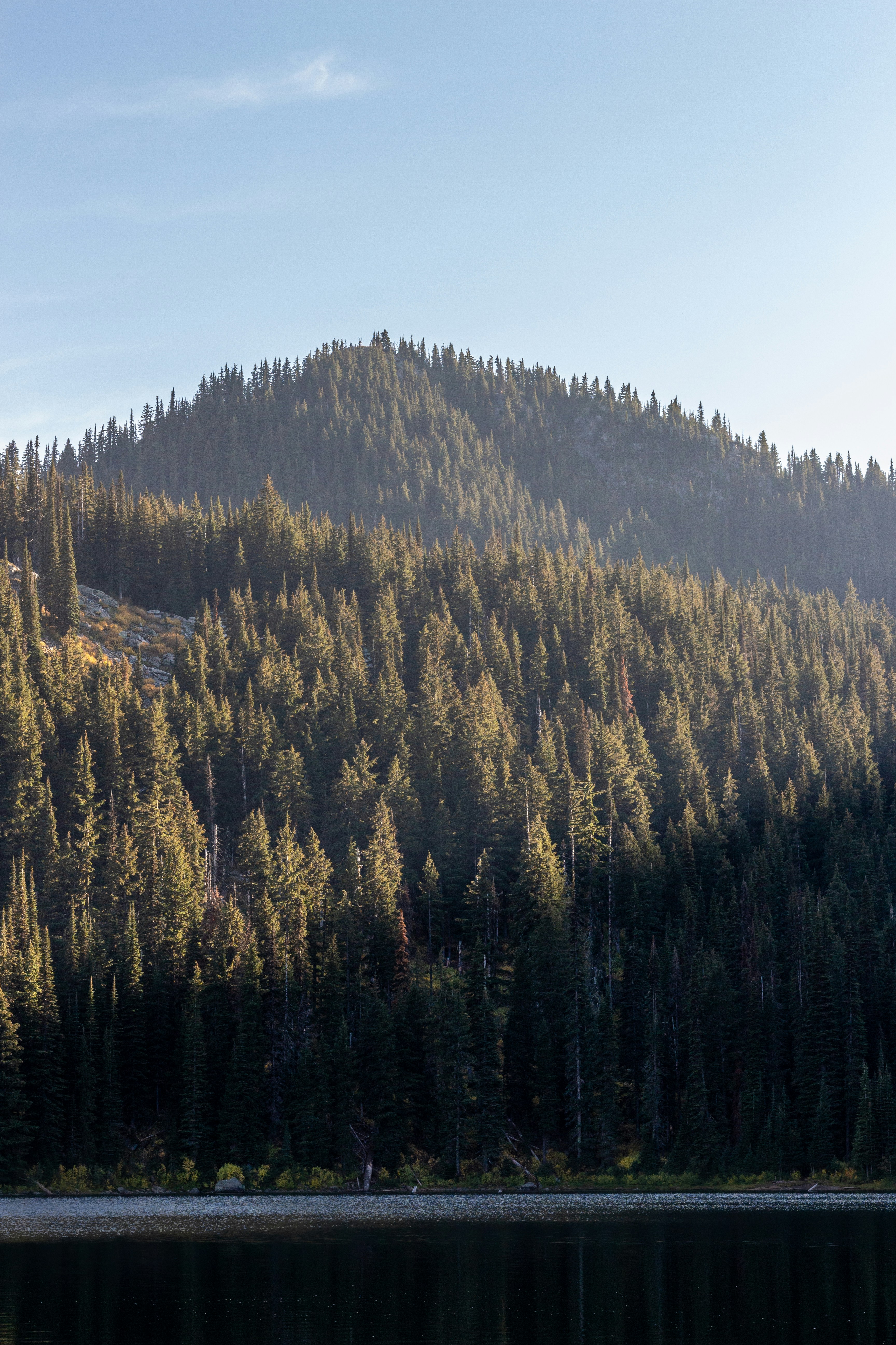 How to Stop the Loudest Voice from Dominating Every Meeting