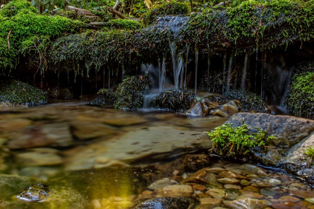 a waterfall in a forest