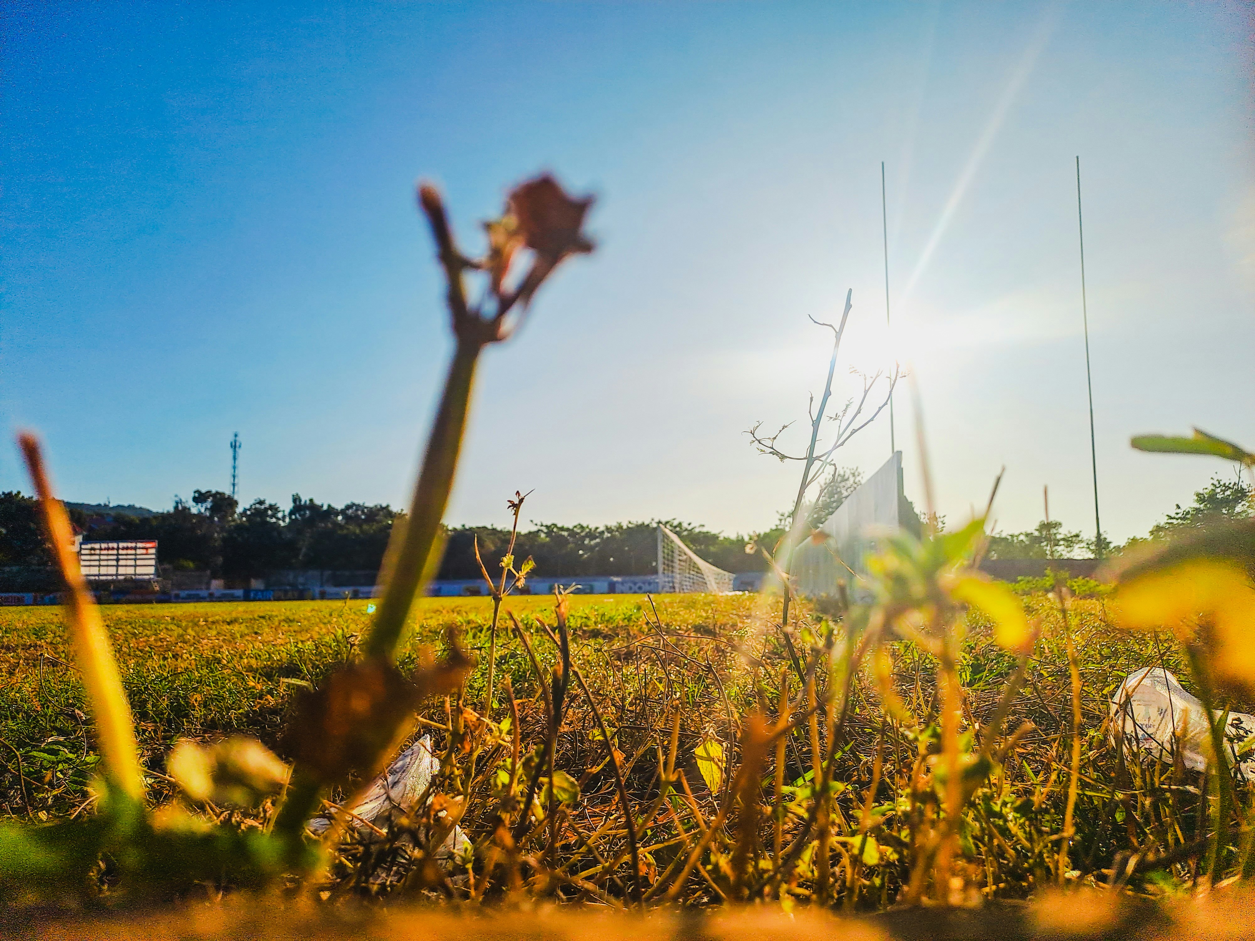 Photo by robertmodalo