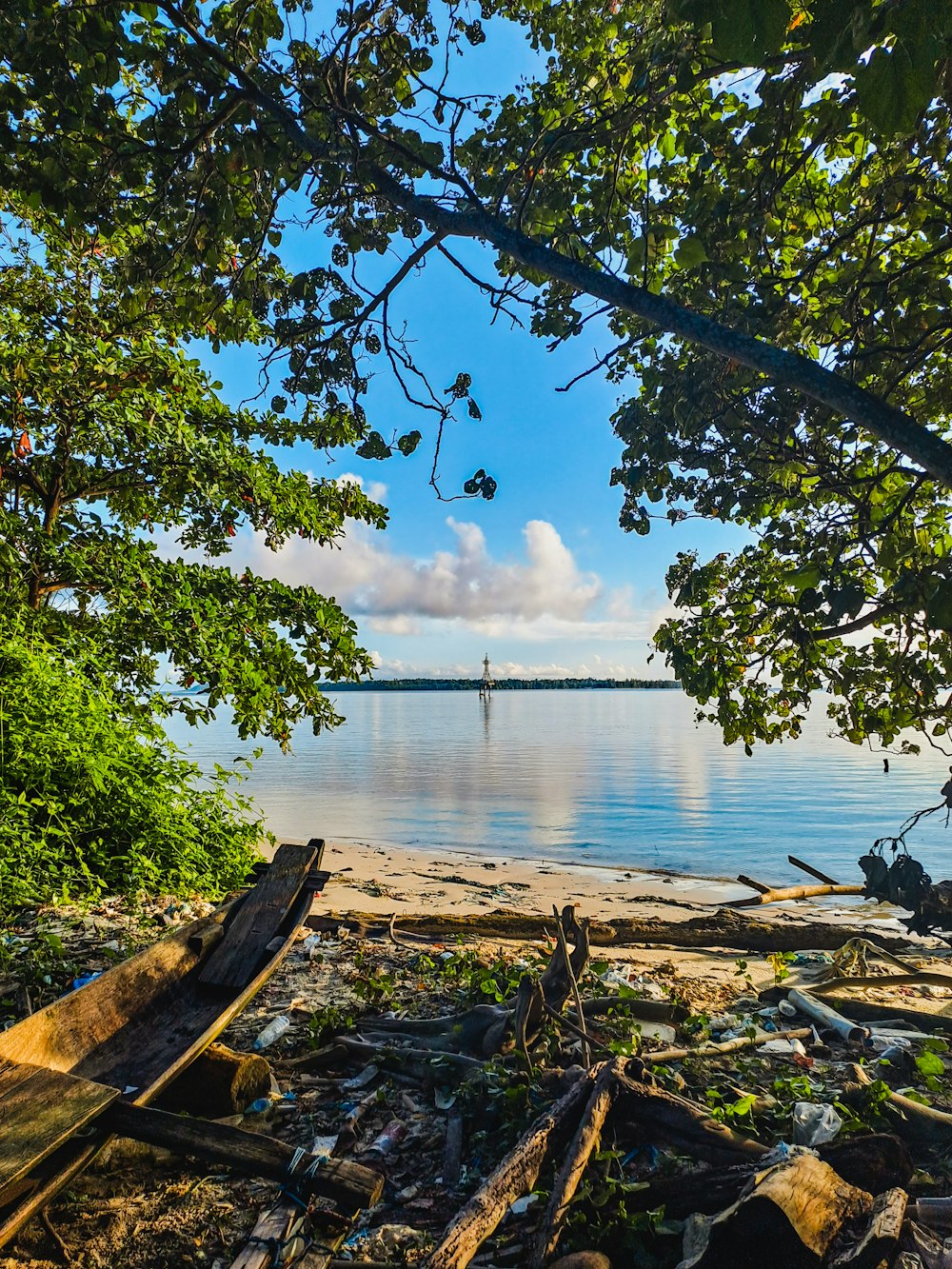 a beach with trees and a body of water