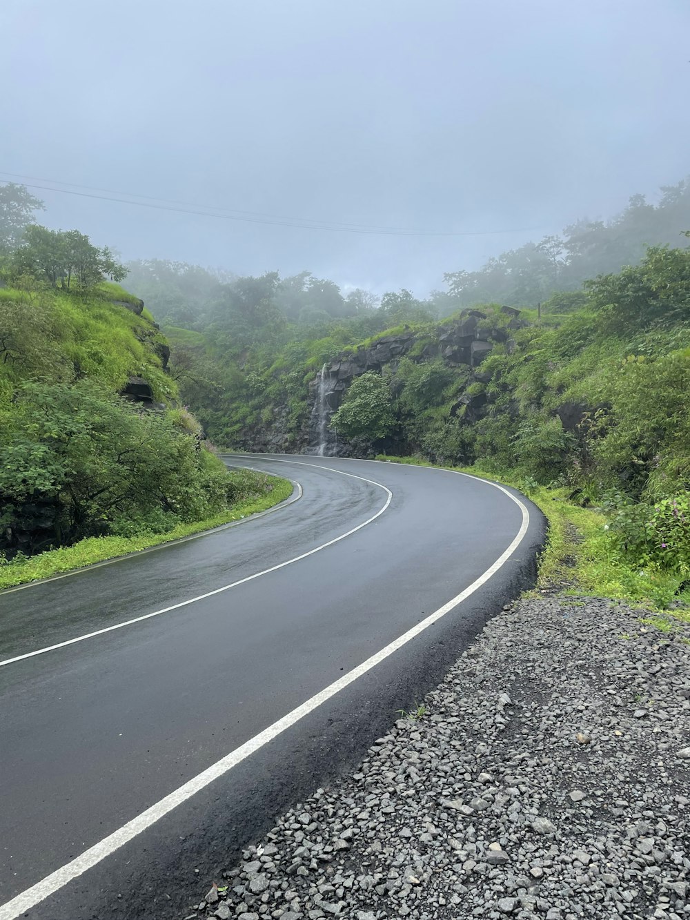 a road with trees on the side