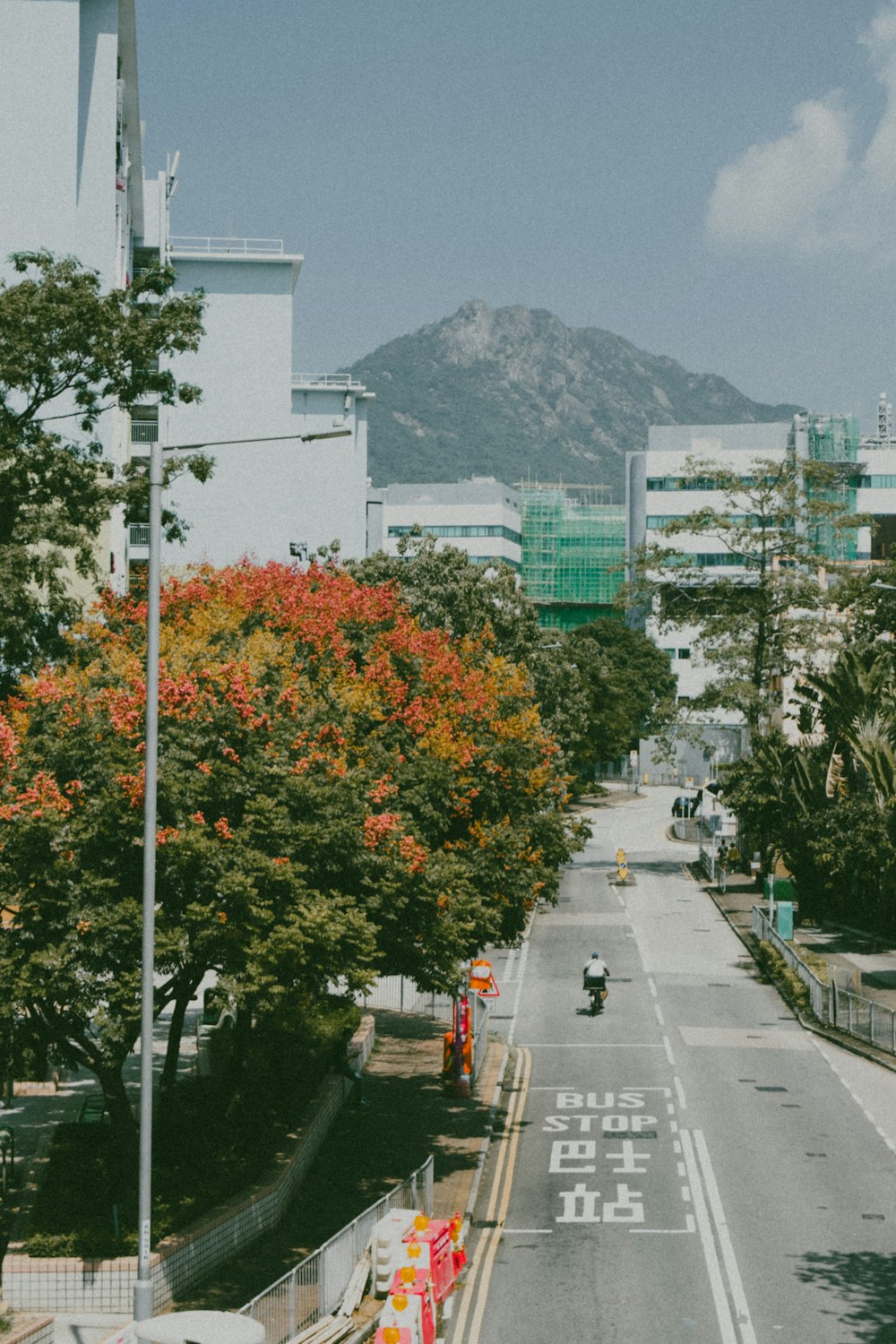 a street with trees and buildings on the side