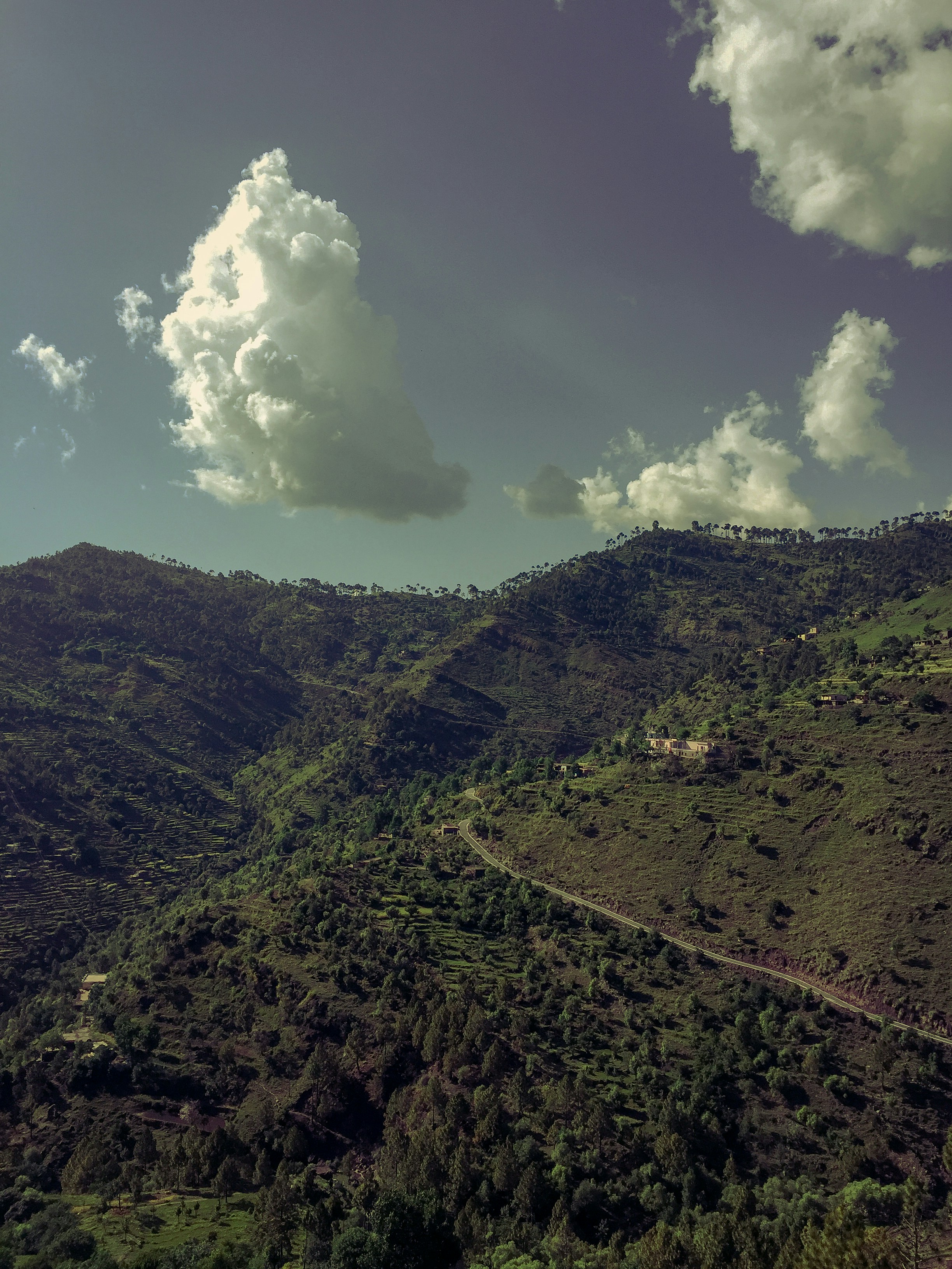 Photo by hashamshabbir98