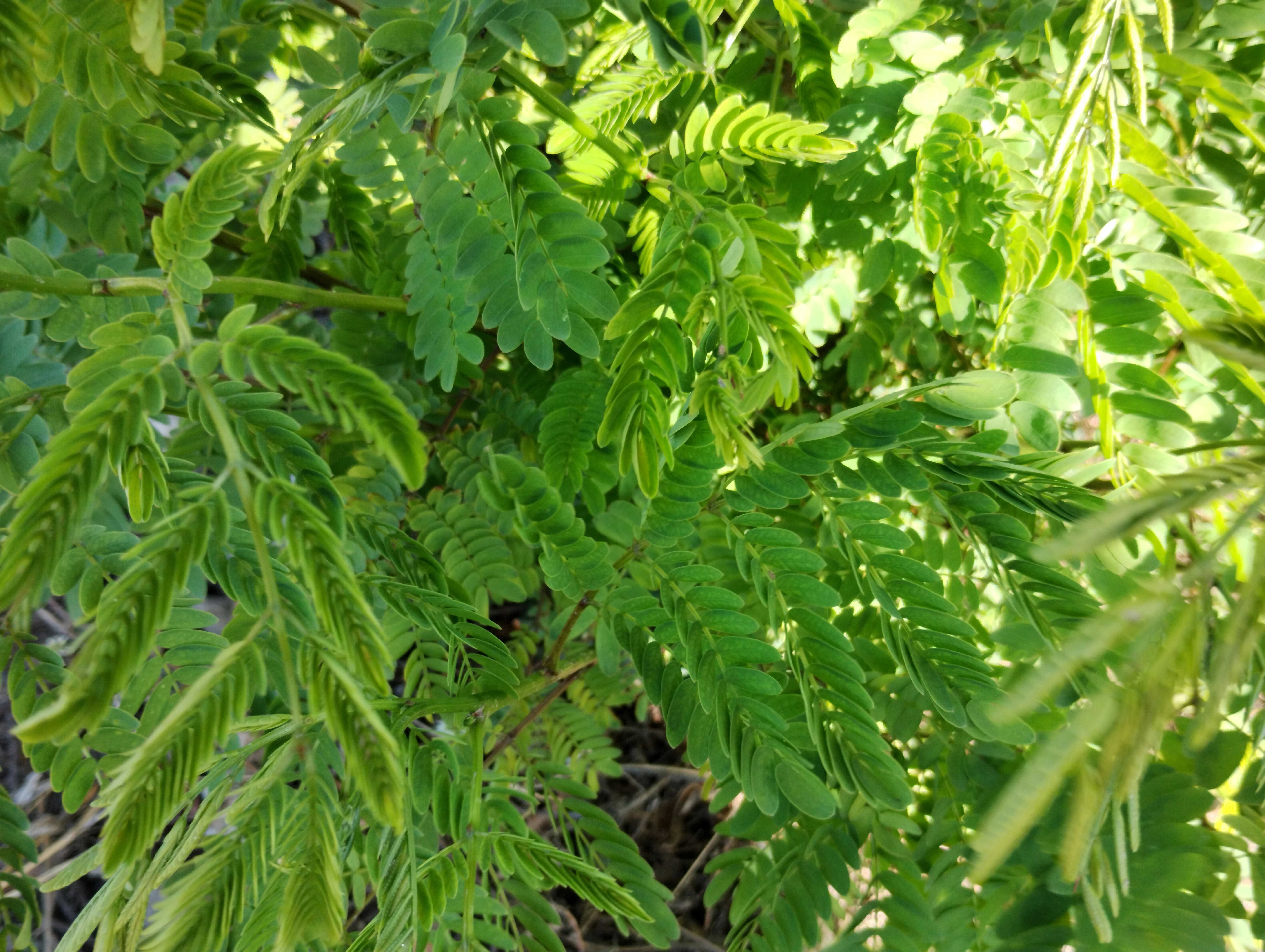 Photo by dididimedina