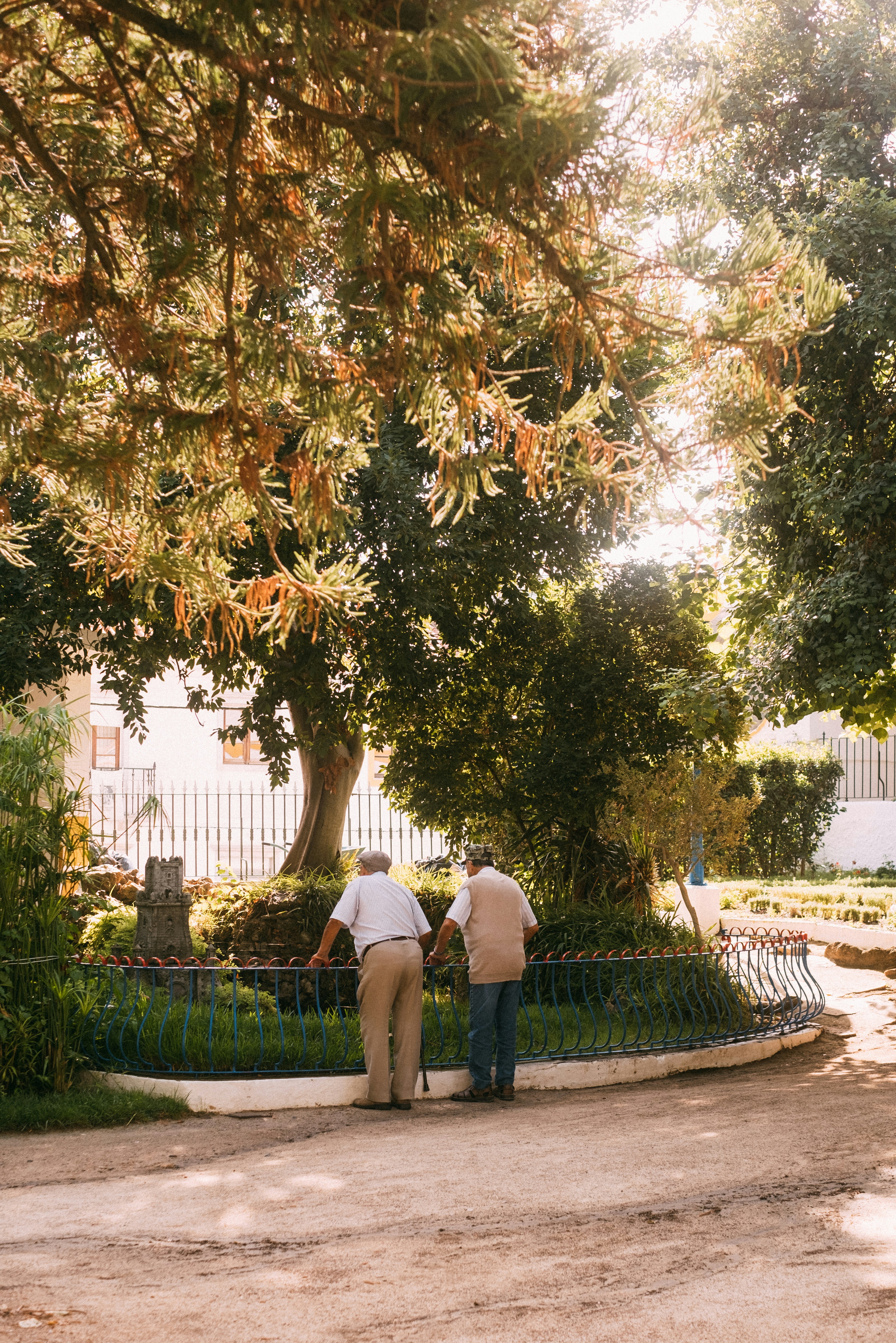 a couple of men standing on a fence in front of a tree