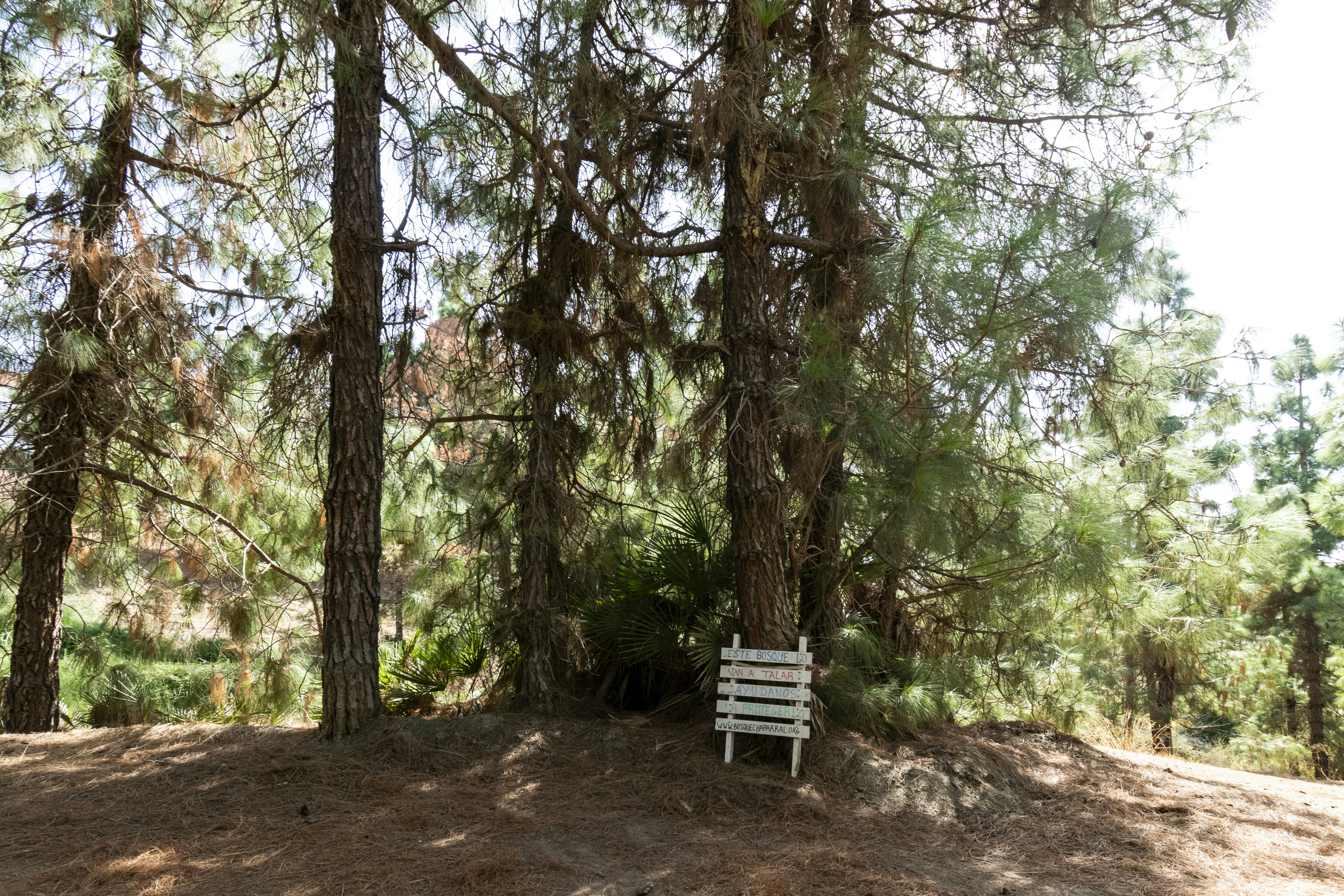 Photo by rafagarrido